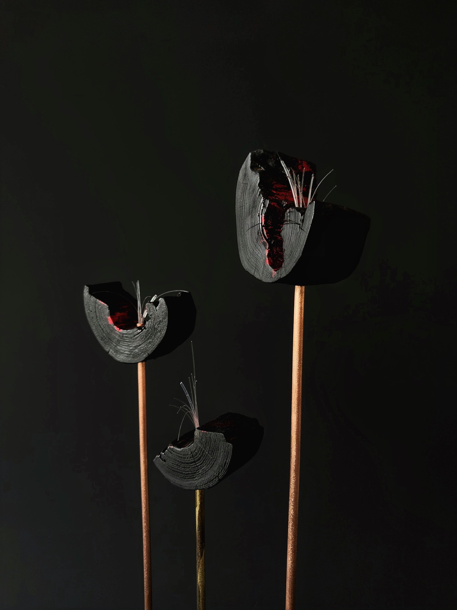 «Цветут Цветы». Арт-объекты. Коллекционный дизайн 47.XII