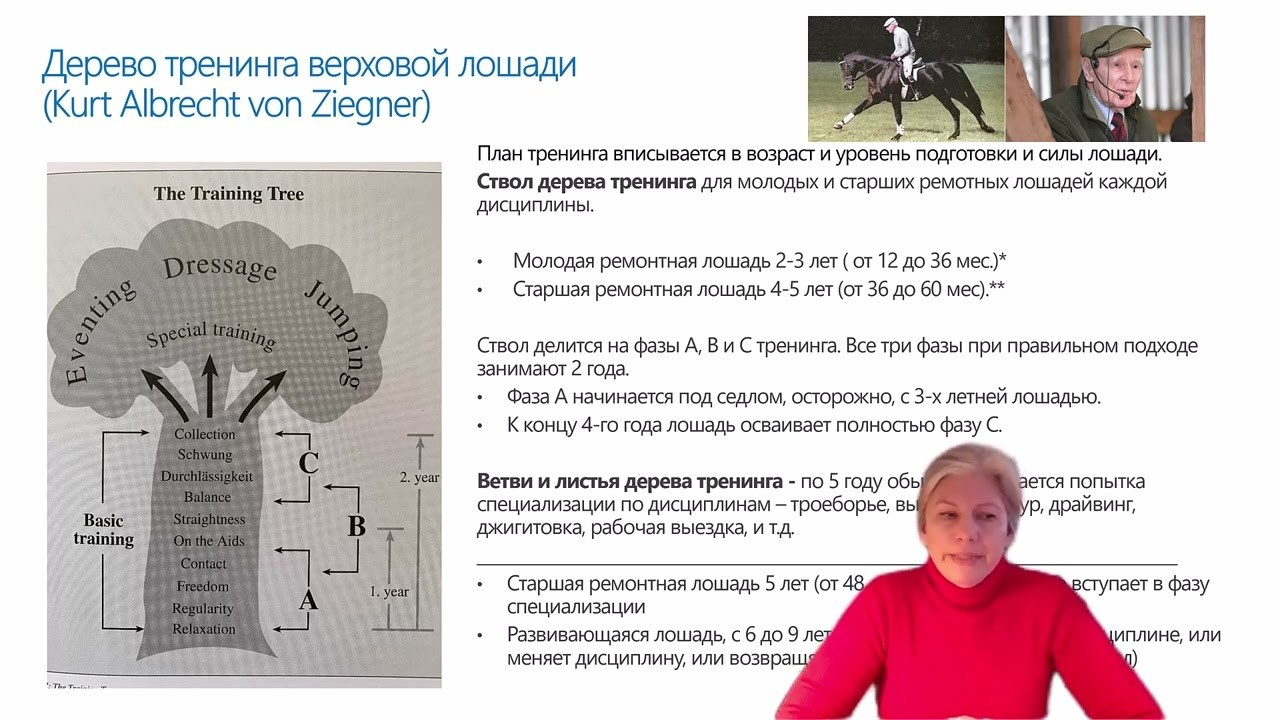 Horse as athlete. Лиана Антонович | Конные стратегии
