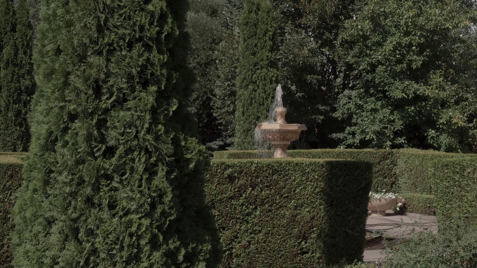 Свадебный видеограф Станислав Волостников