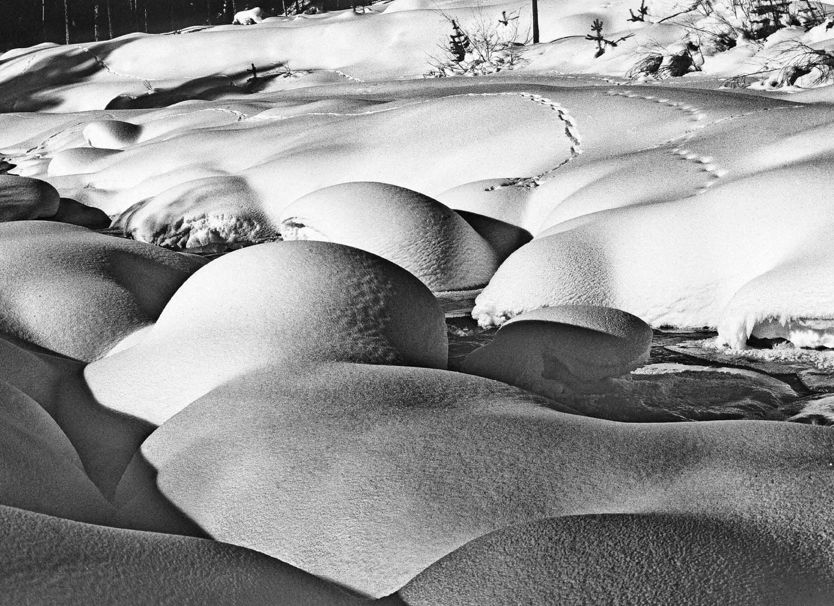 Коллекционные альбомы. ВАДИМ ГИППЕНРЕЙТЕР — ВЕЛИКИЙ ФОТОГРАФ ЗЕМЛИ РУССКОЙ