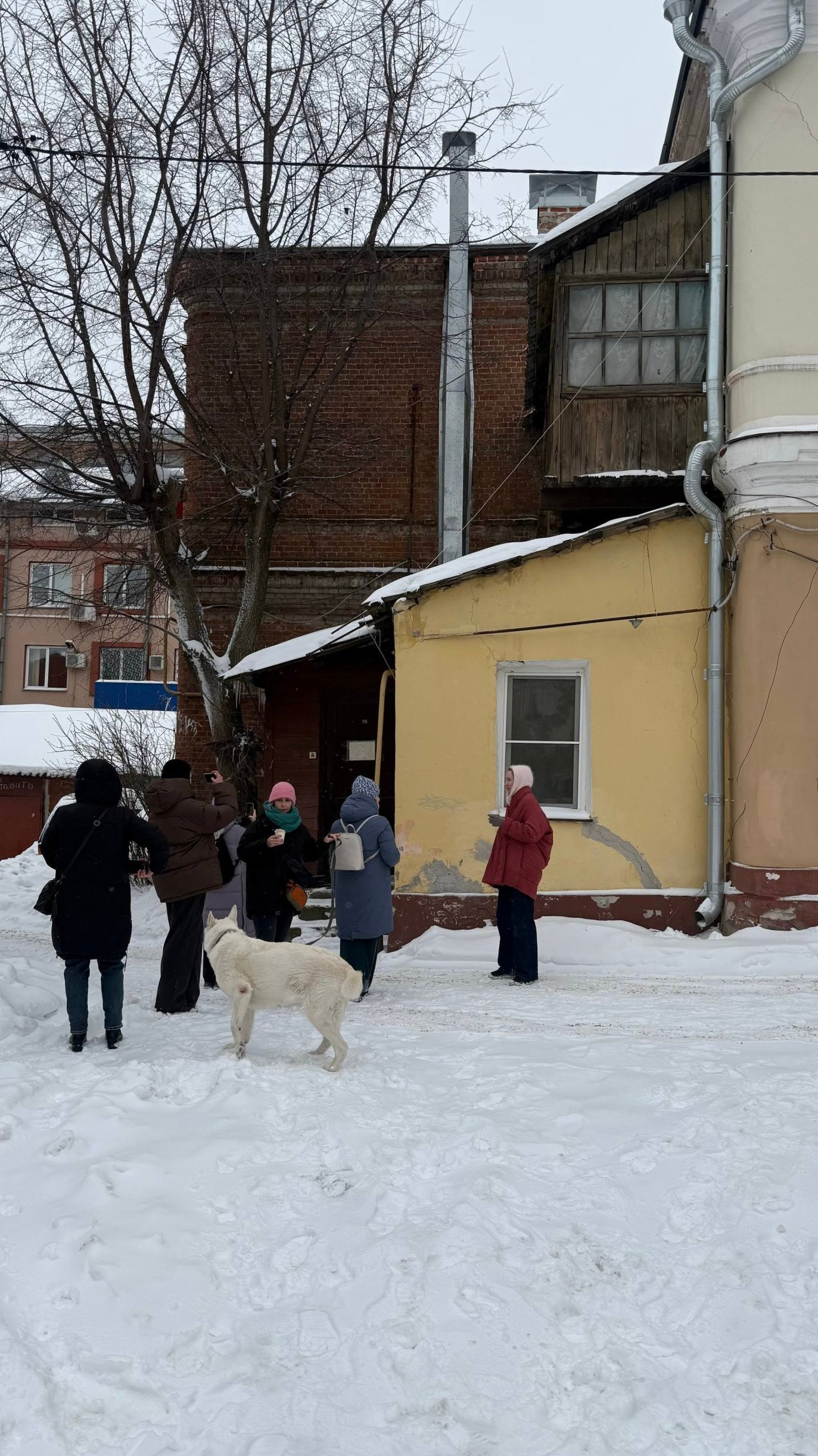 Улица Маркса. «ФотоСинтез»