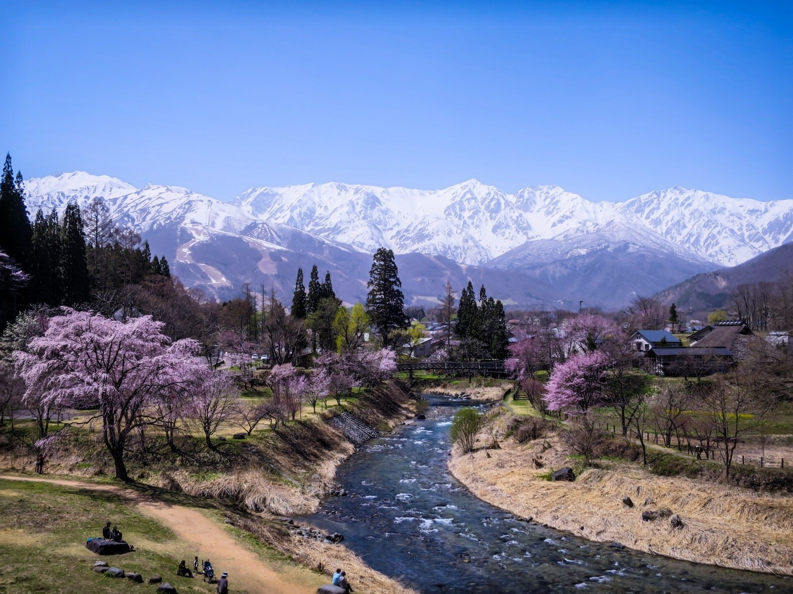 Japan in Sakura time, 7-14 April 2026. Alexkrepak