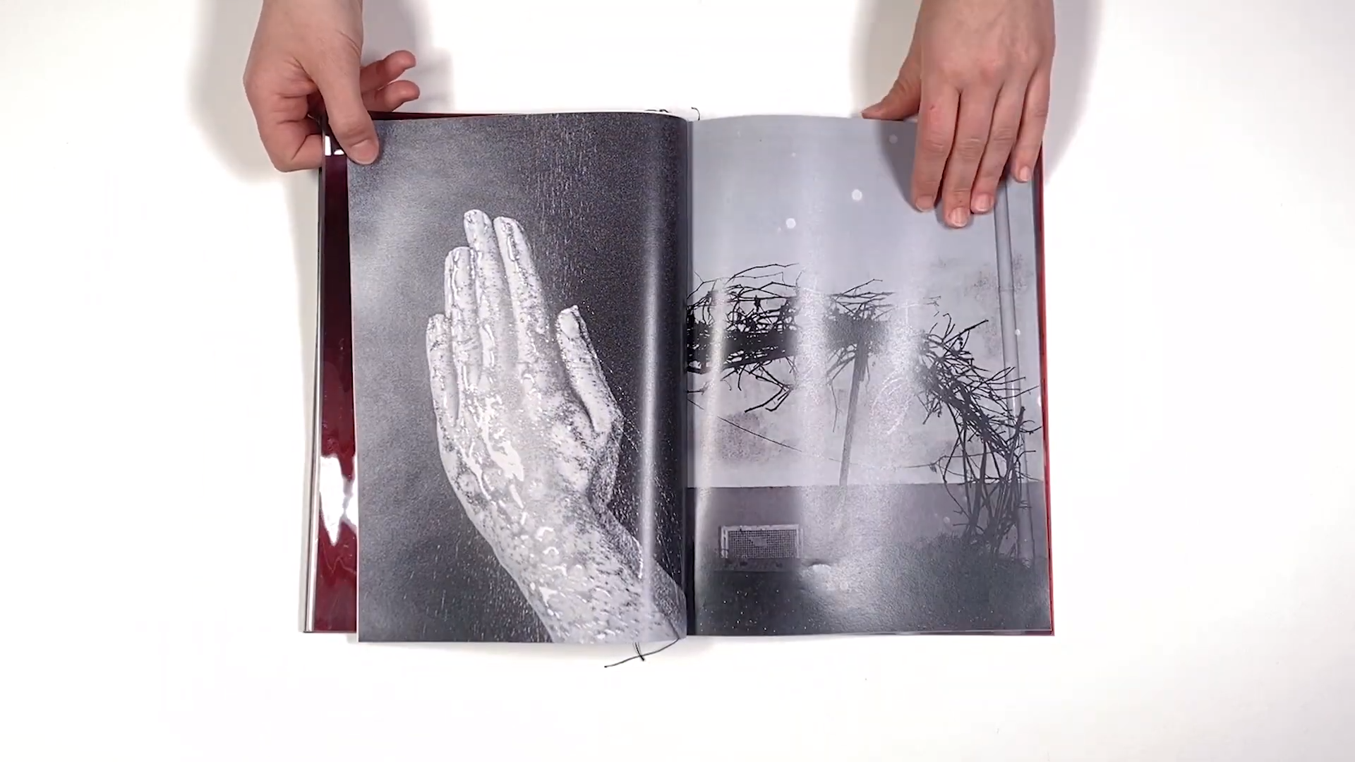 Фотокнига «Solstice» художницы Джулии Боле (Julia Bohle). Private image