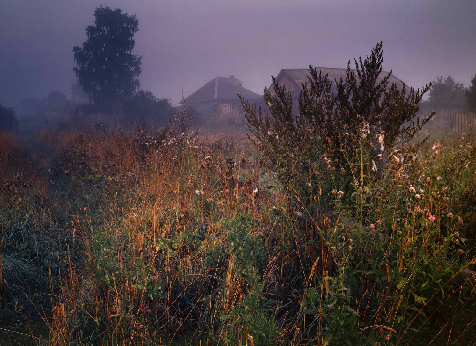 Коллекционные альбомы. ВАДИМ ГИППЕНРЕЙТЕР — ВЕЛИКИЙ ФОТОГРАФ ЗЕМЛИ РУССКОЙ