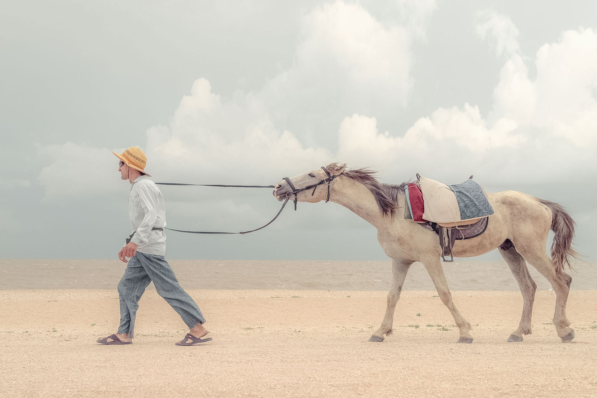 SALE OF DIGITAL FINE ART FILES BY ARTIST MIKHAIL POTAPOV