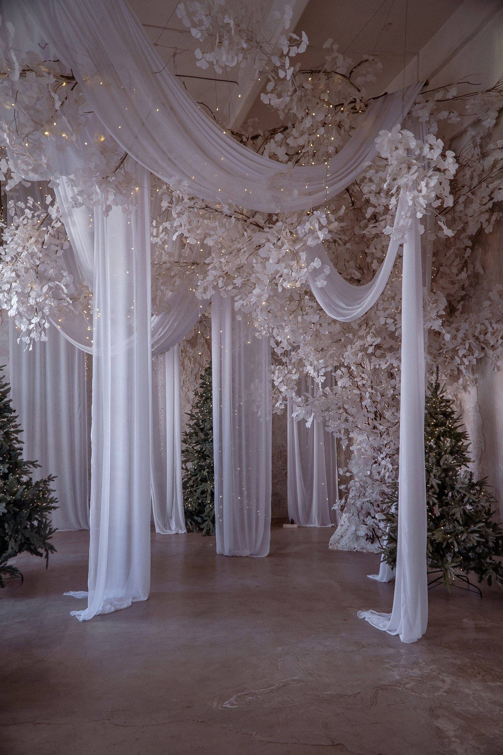 Фотодень «Душа Балета» Санкт-Петербург. Балетный фотограф Алина Ханько — Душа Балета