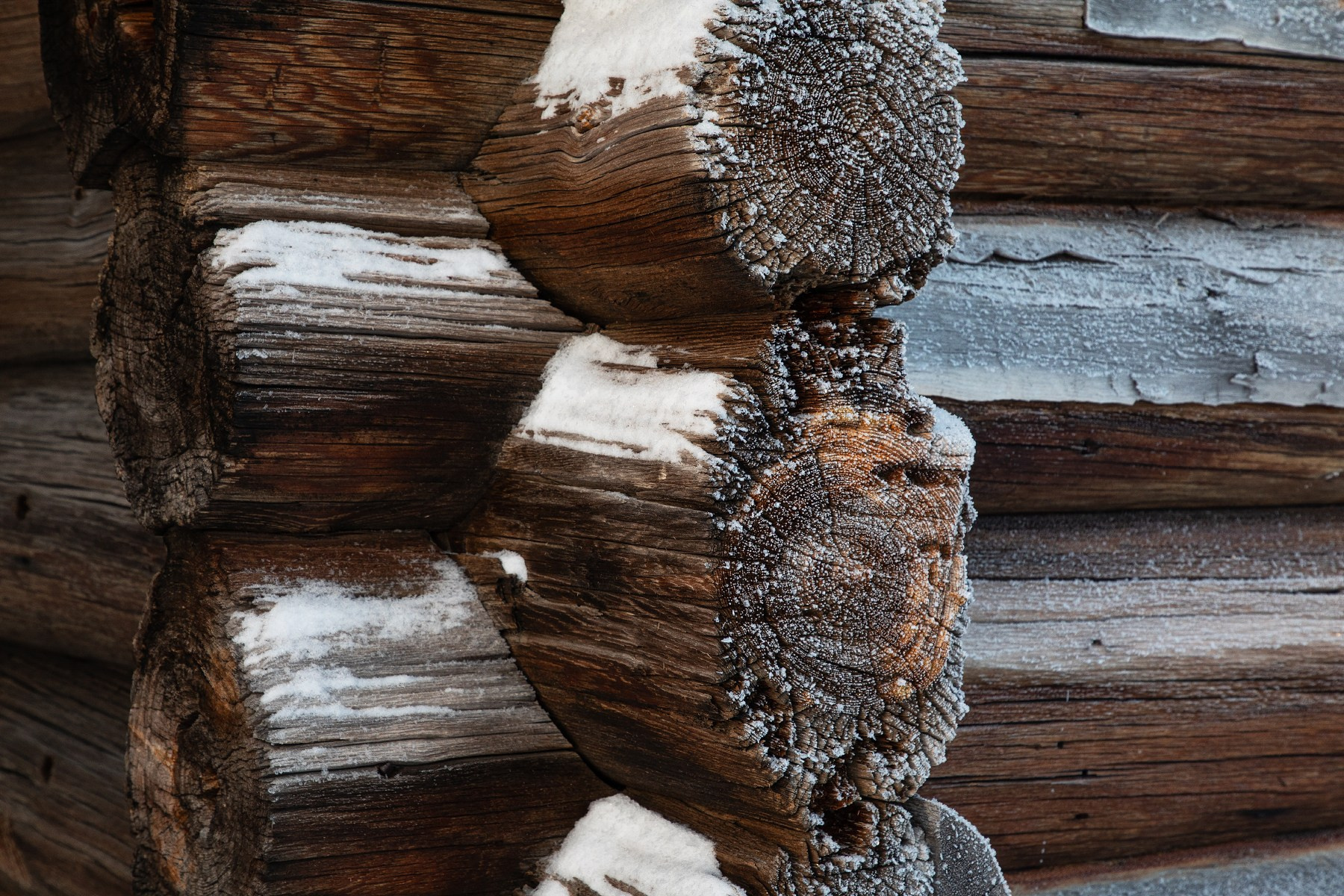 Русский Север, Заонежье, деревня Насоновщина, сруб часовни Петра и Павла