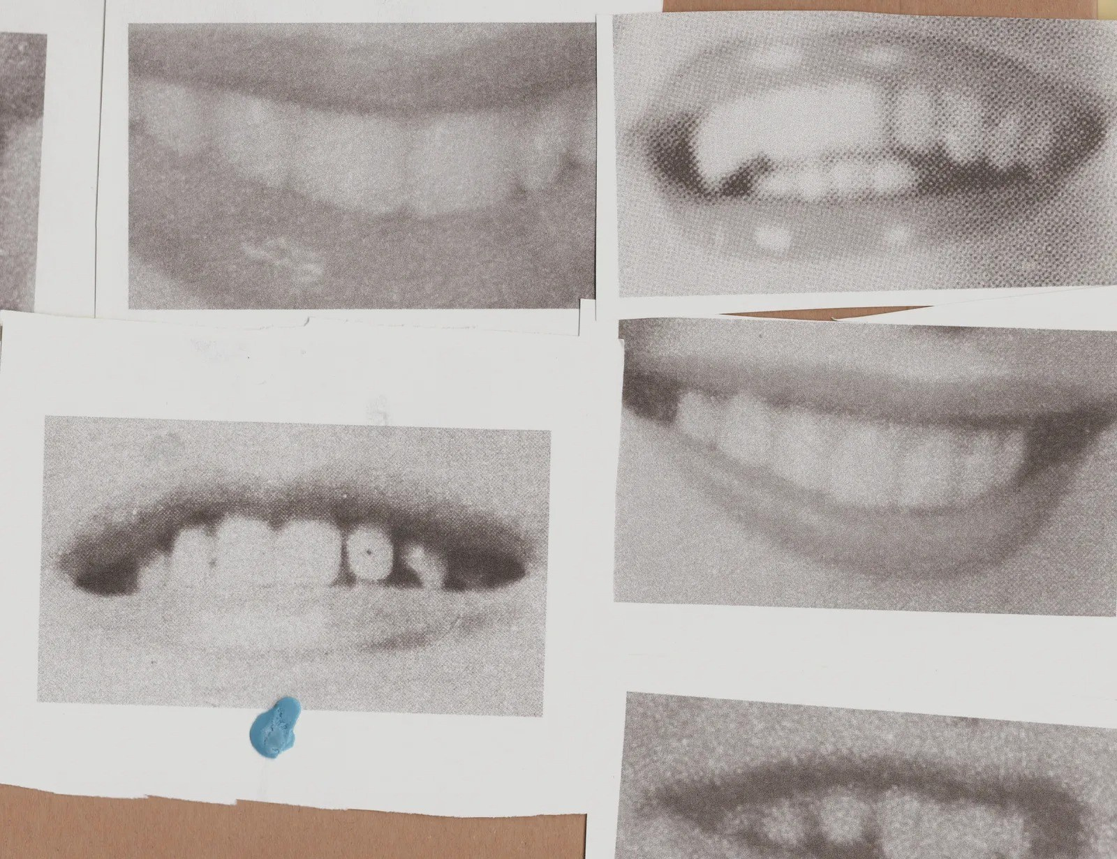 ПОПУЛЯРНЫЕ ОШИБКИ ПРИ СОЗДАНИИ ФОТОКНИГИ: Часть вторая — про содержание и нарратив. Самоорганизация Низина