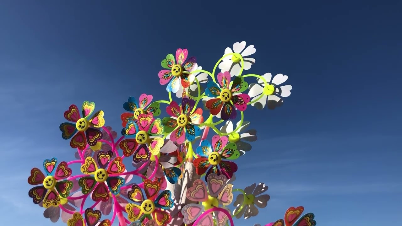 Безмолвие. Ксения Плотникова