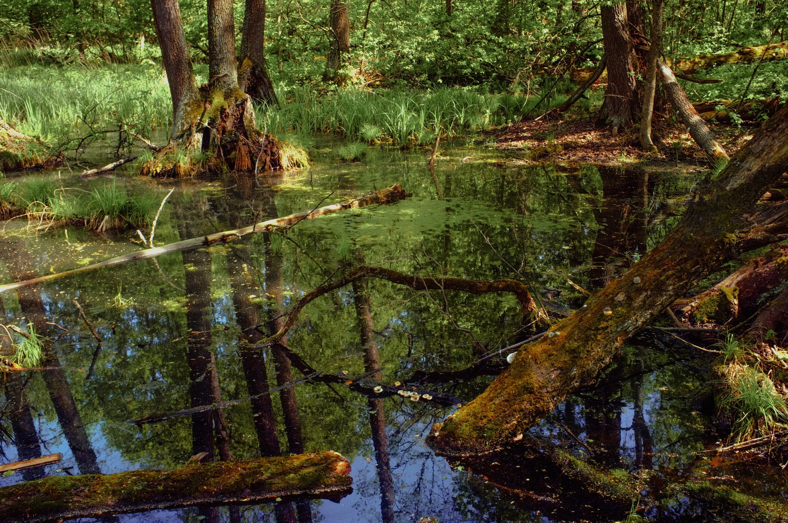 Руслан Шувалов (поэтограф)