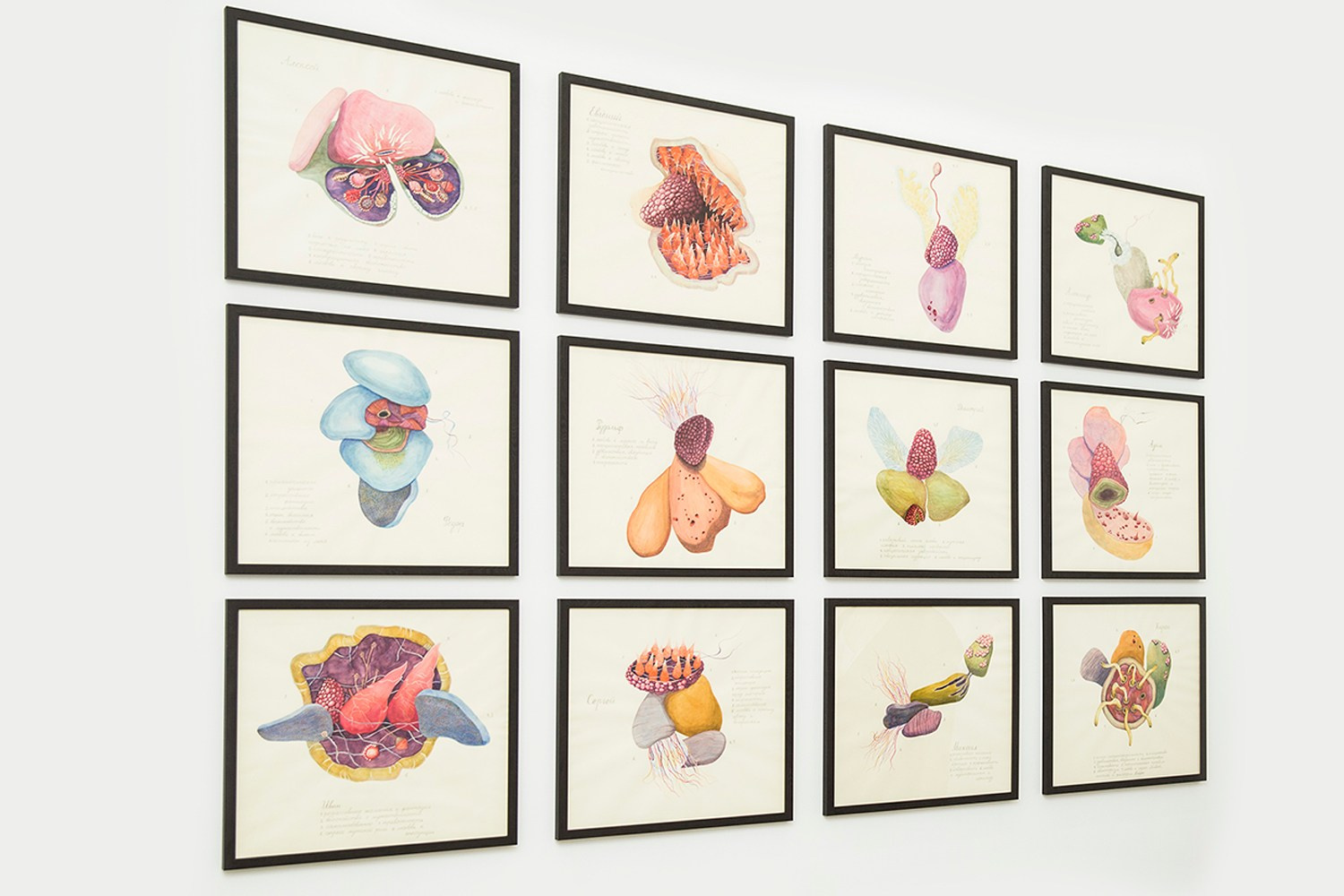 MUSEUM DATE 2016 — 2017. Ilmira Bolotyan — Interdisciplinary Artist and Curator