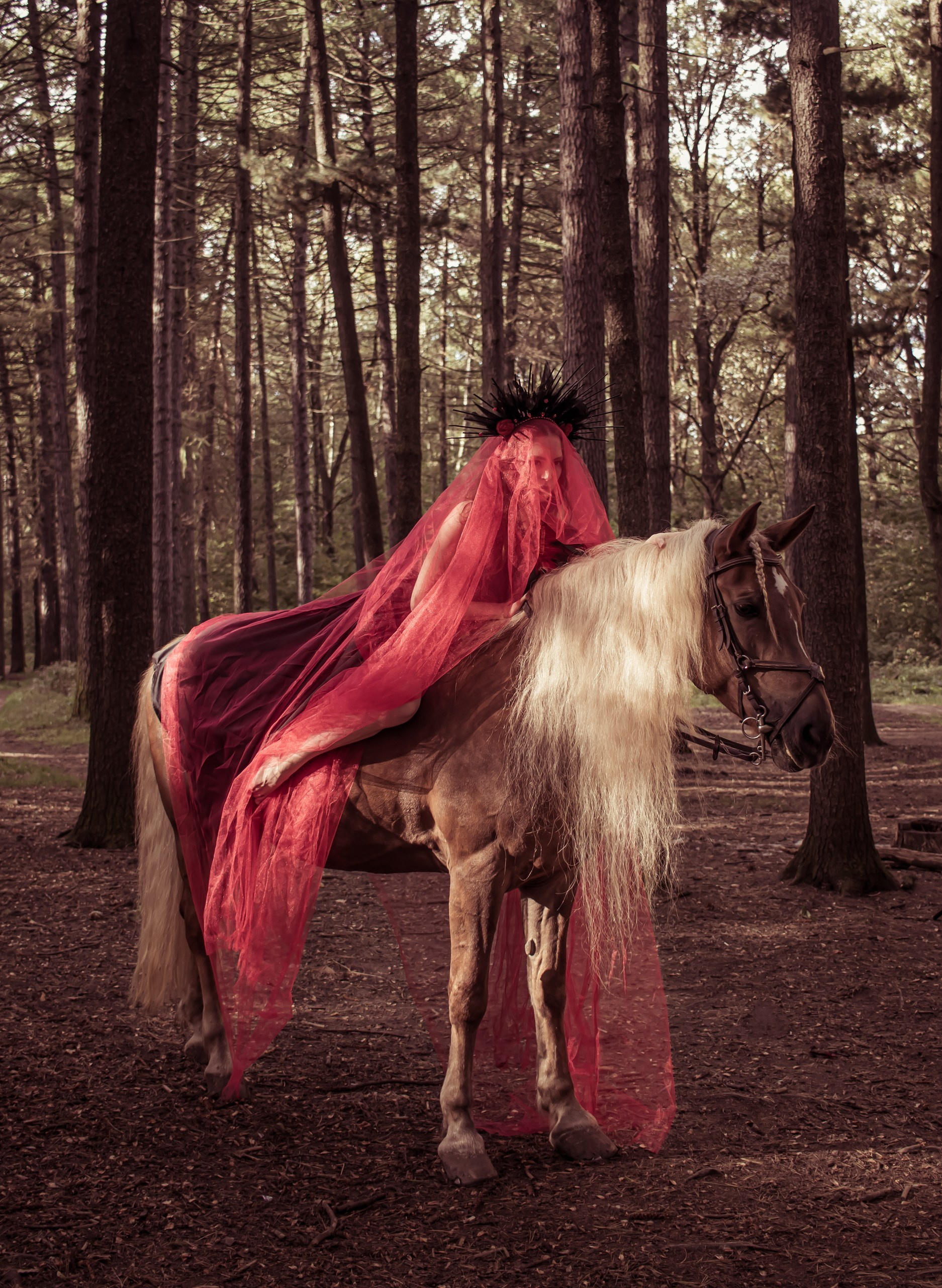 Концептуальный кадр: модель стоит у лошади, мистическое настроение леса • фотограф Карасёва Елена