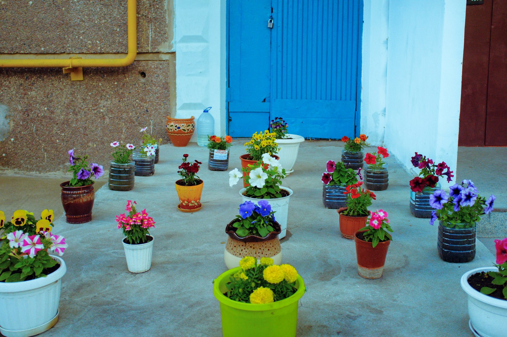 Spring (2026)
