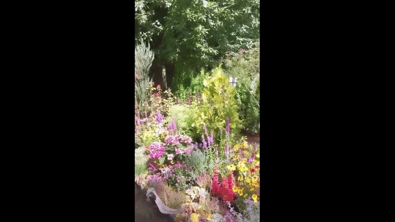 Фестиваль «Сады и люди» на ВДНХ. Семейный и свадебный фотограф в Москве и Домодедово Анна Авилочкина