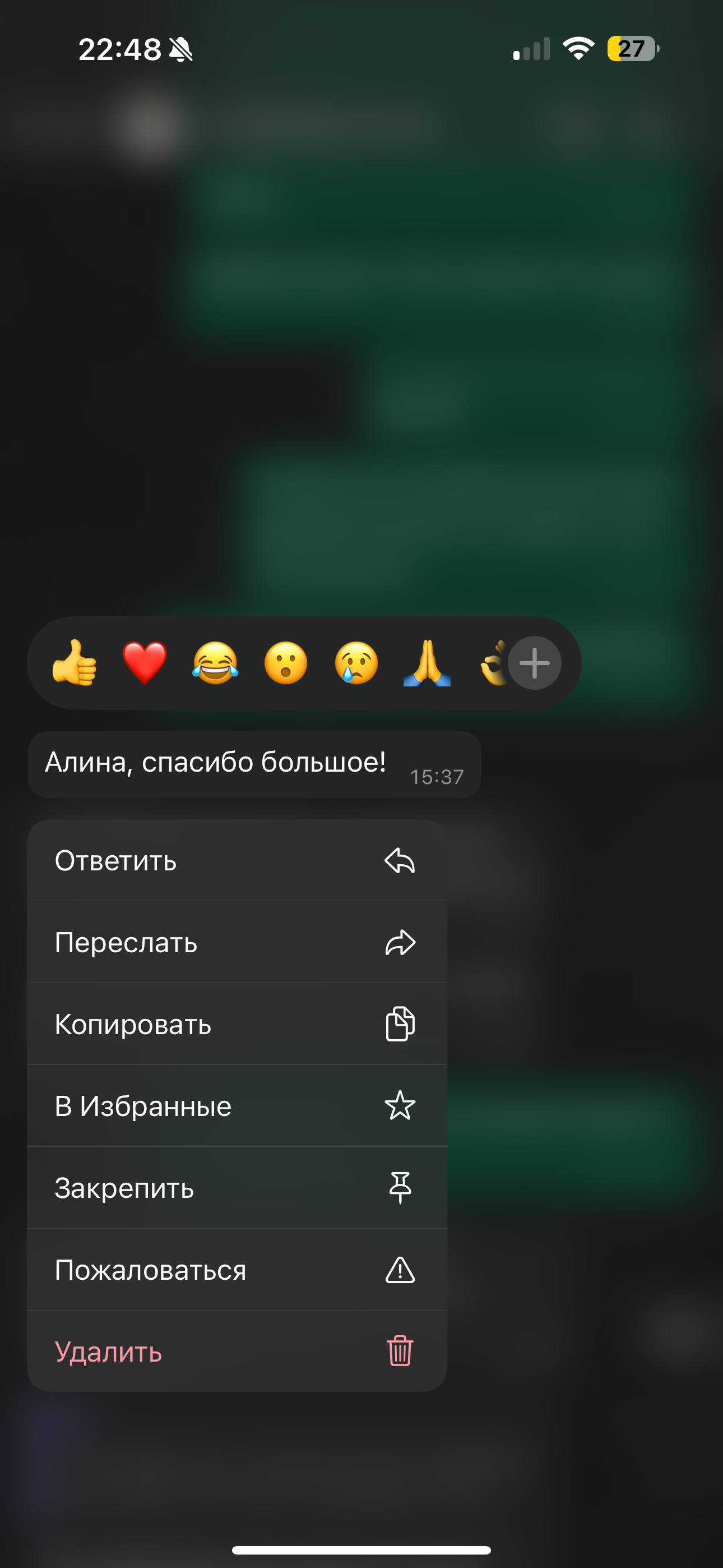 Дизайн проекты — Алина Далевиц
