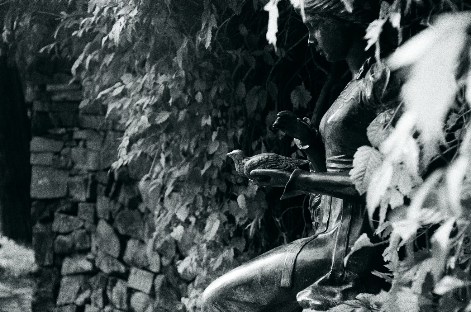 Морские прогулки с Nikon N8008. Artkapella|Олег Кузнецов