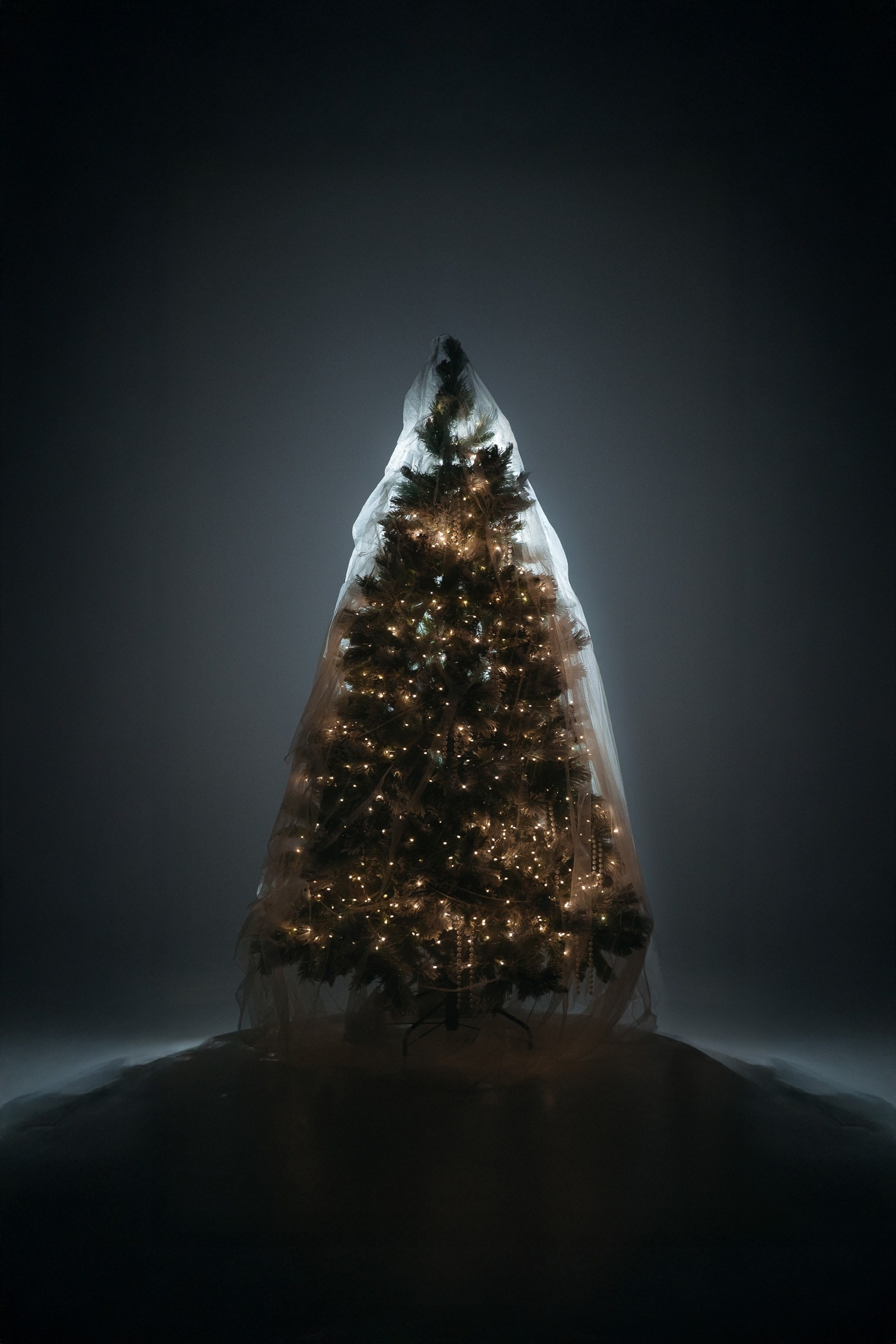 Фотостудии. Свадебный и семейный фотограф в Туле Анастасия Чаликова