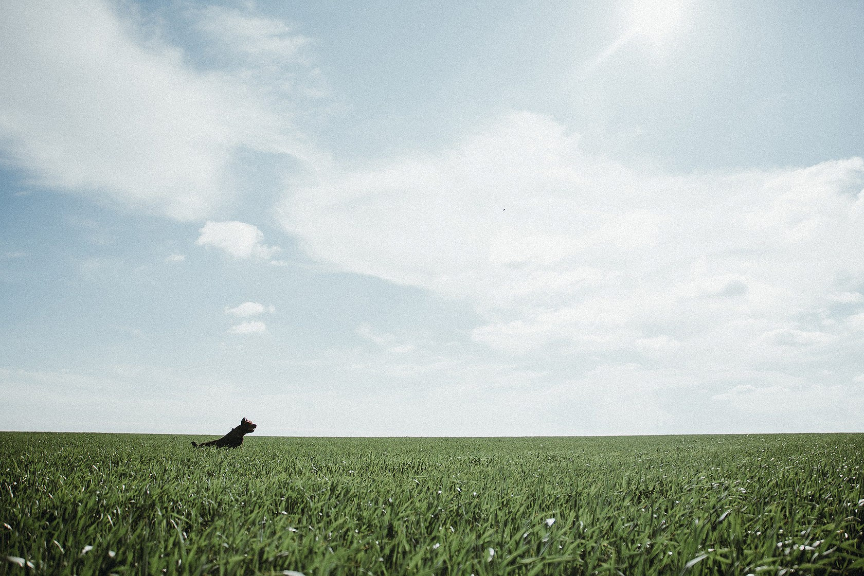 Ваш фотограф в Крыму