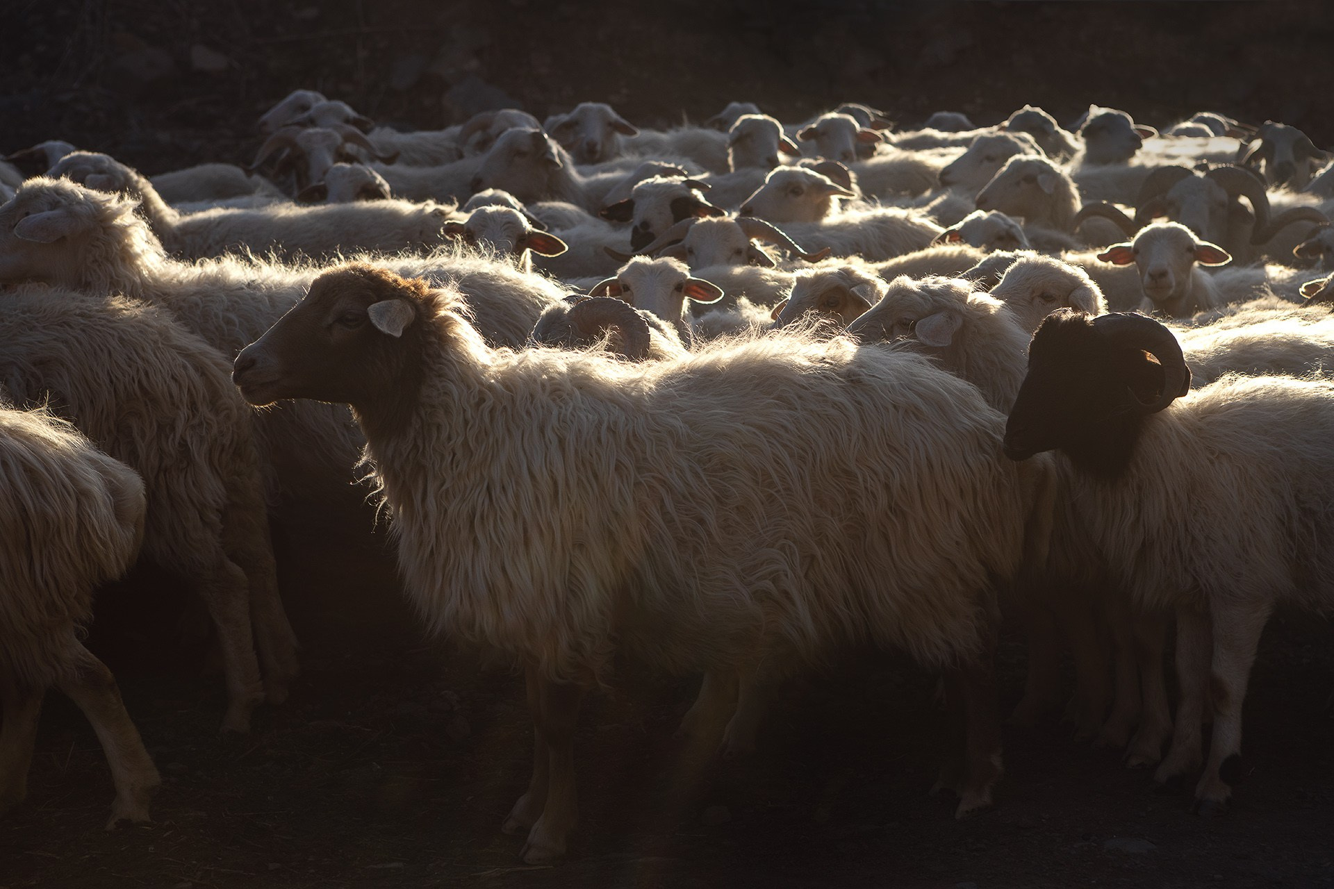 Экспедиция по Цумадинскому району и югу Дагестана 21.03.26 — 29.03.26. Дмитрий Купрацевич профессиональный пейзажный и travel-фотограф
