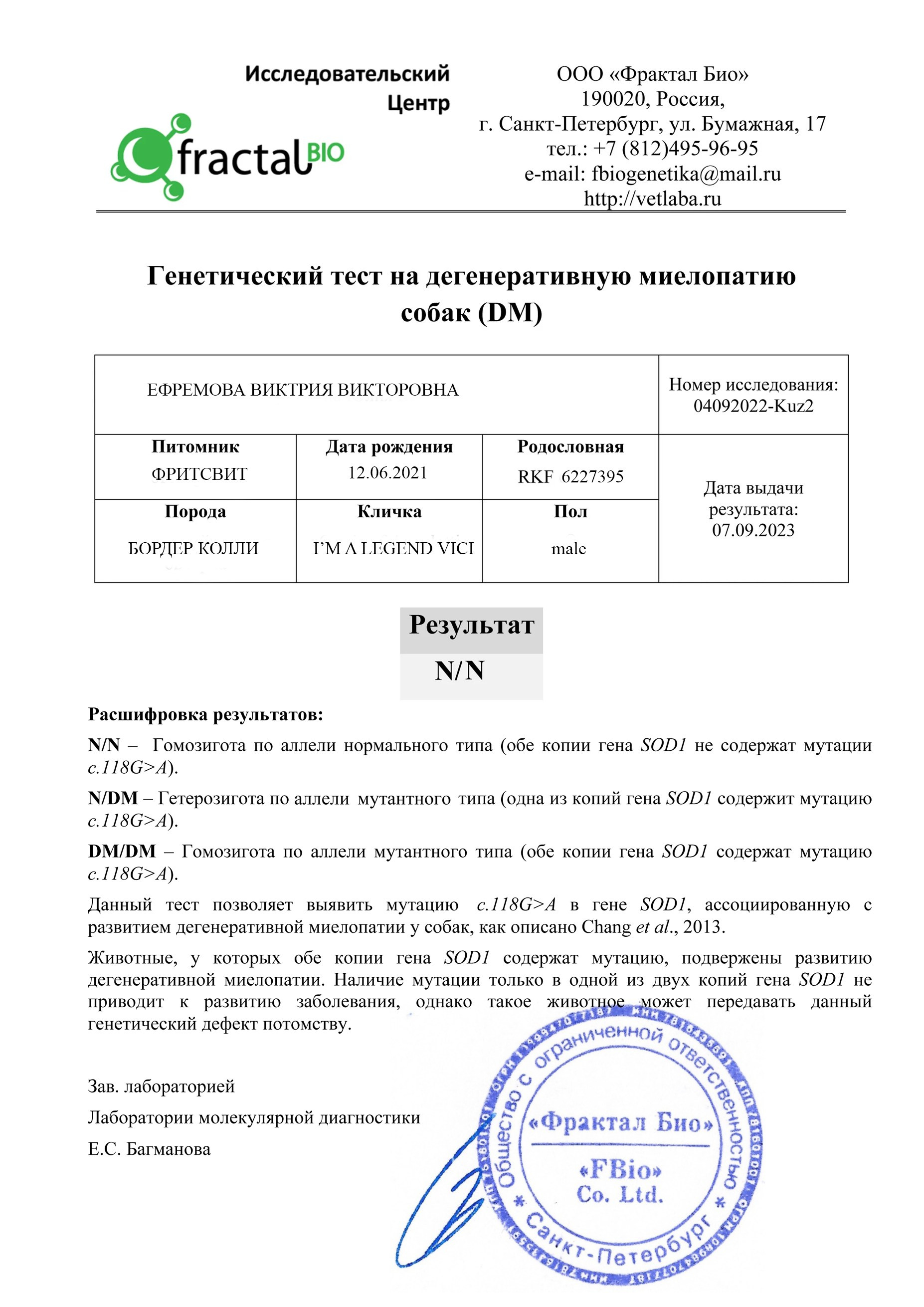 Наши Бордер колли