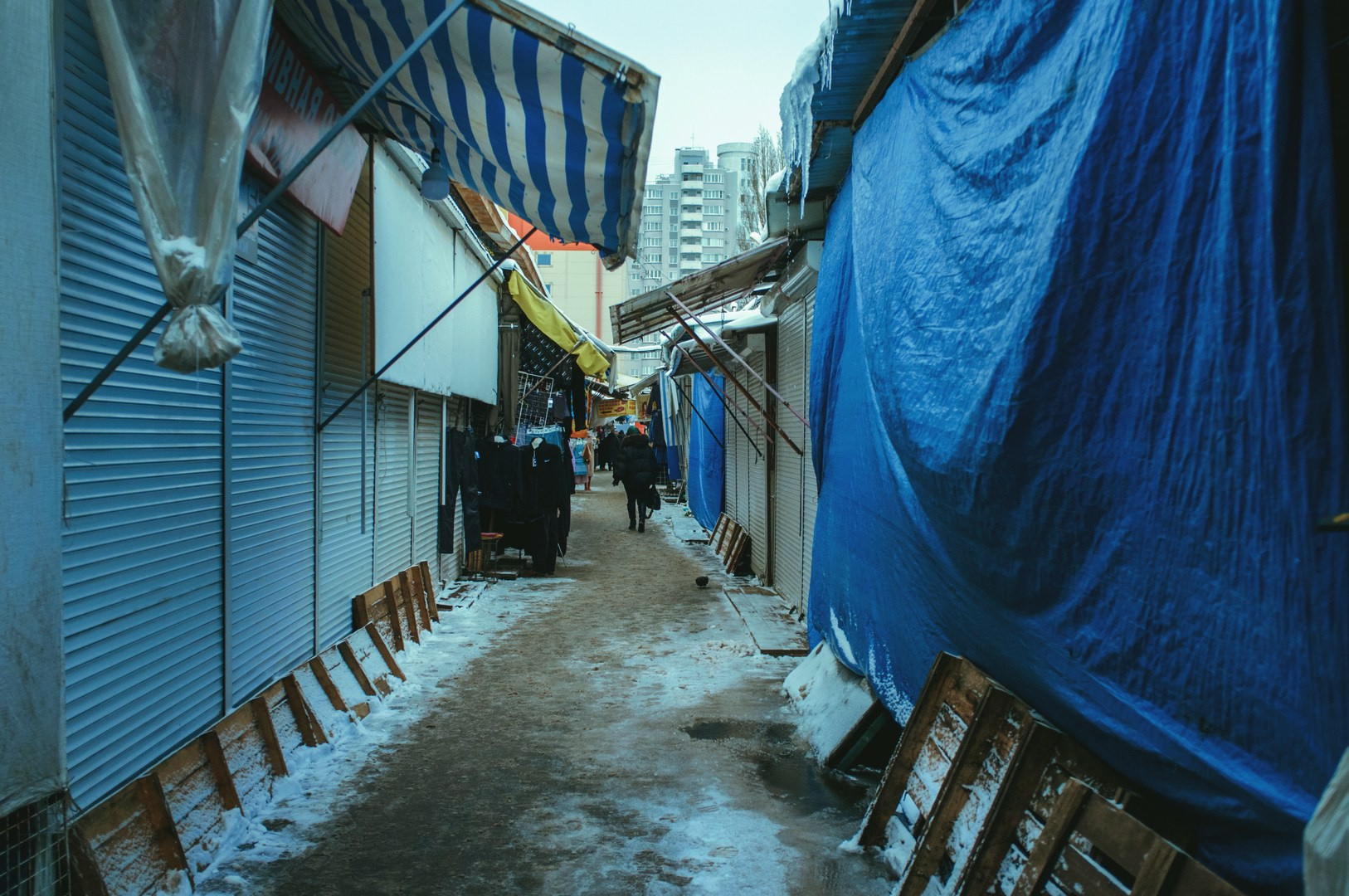 Зима уходящая. Руслан Шувалов (поэтограф)