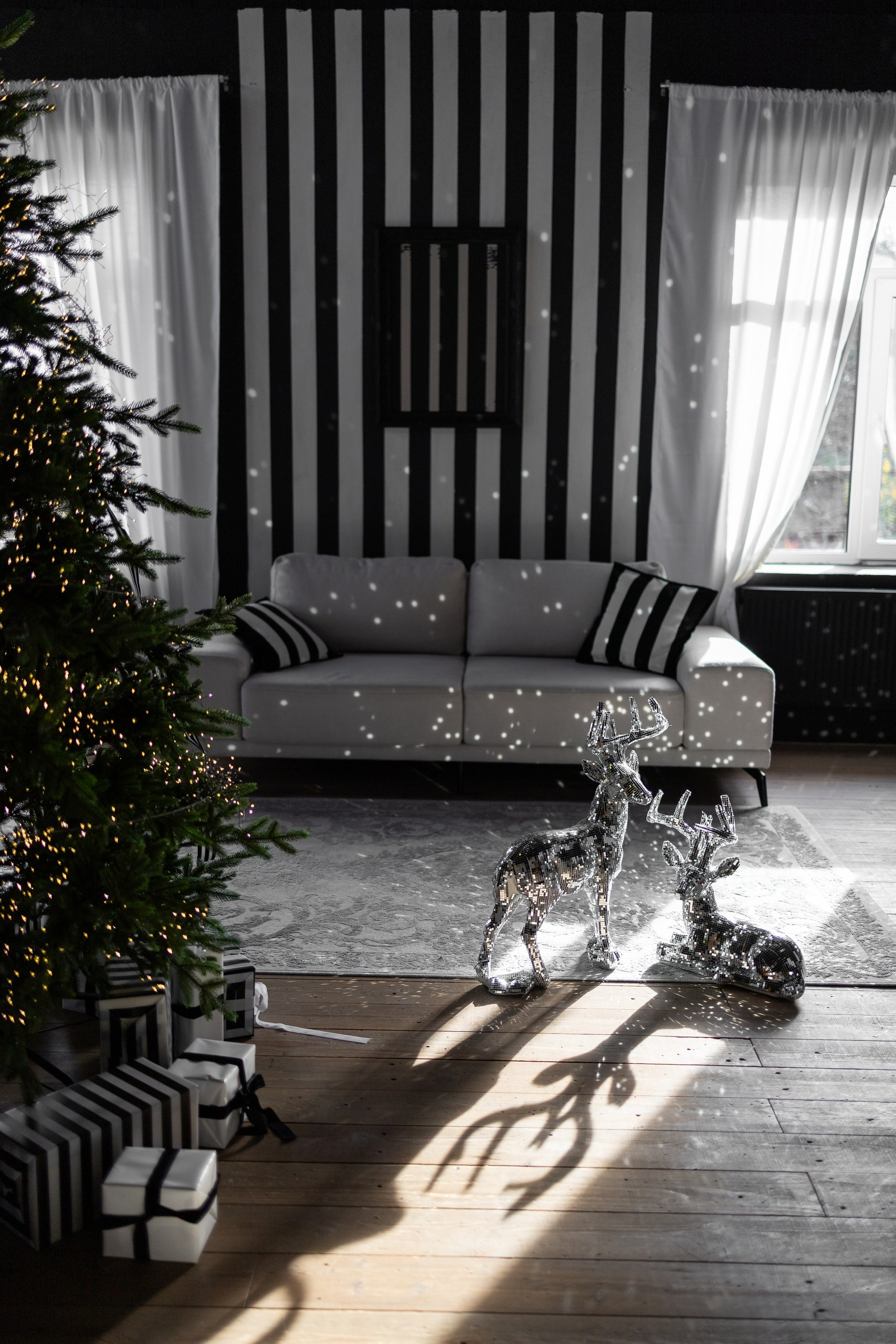 Фотостудии Брянска. Семейный фотограф в Брянске Александра Щербакова