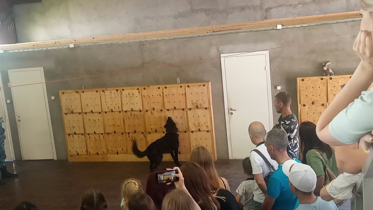 Экскурсия-практикум в зональный Центр кинологической службы ГУ МВД РФ по Нижегородской области. НРОО КЦ "Собаковод"