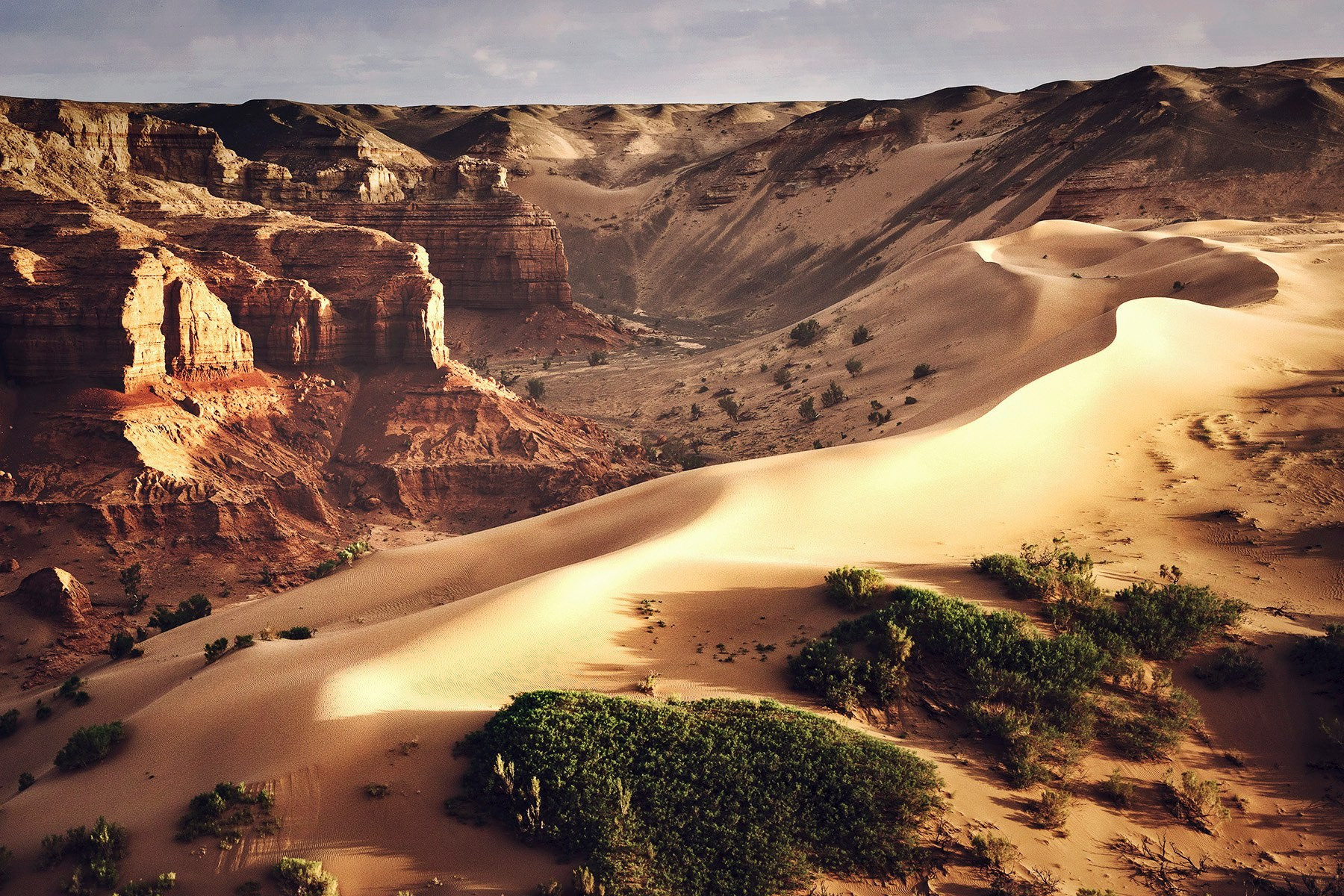 В погоне за китами. Фотограф Константин Шамин