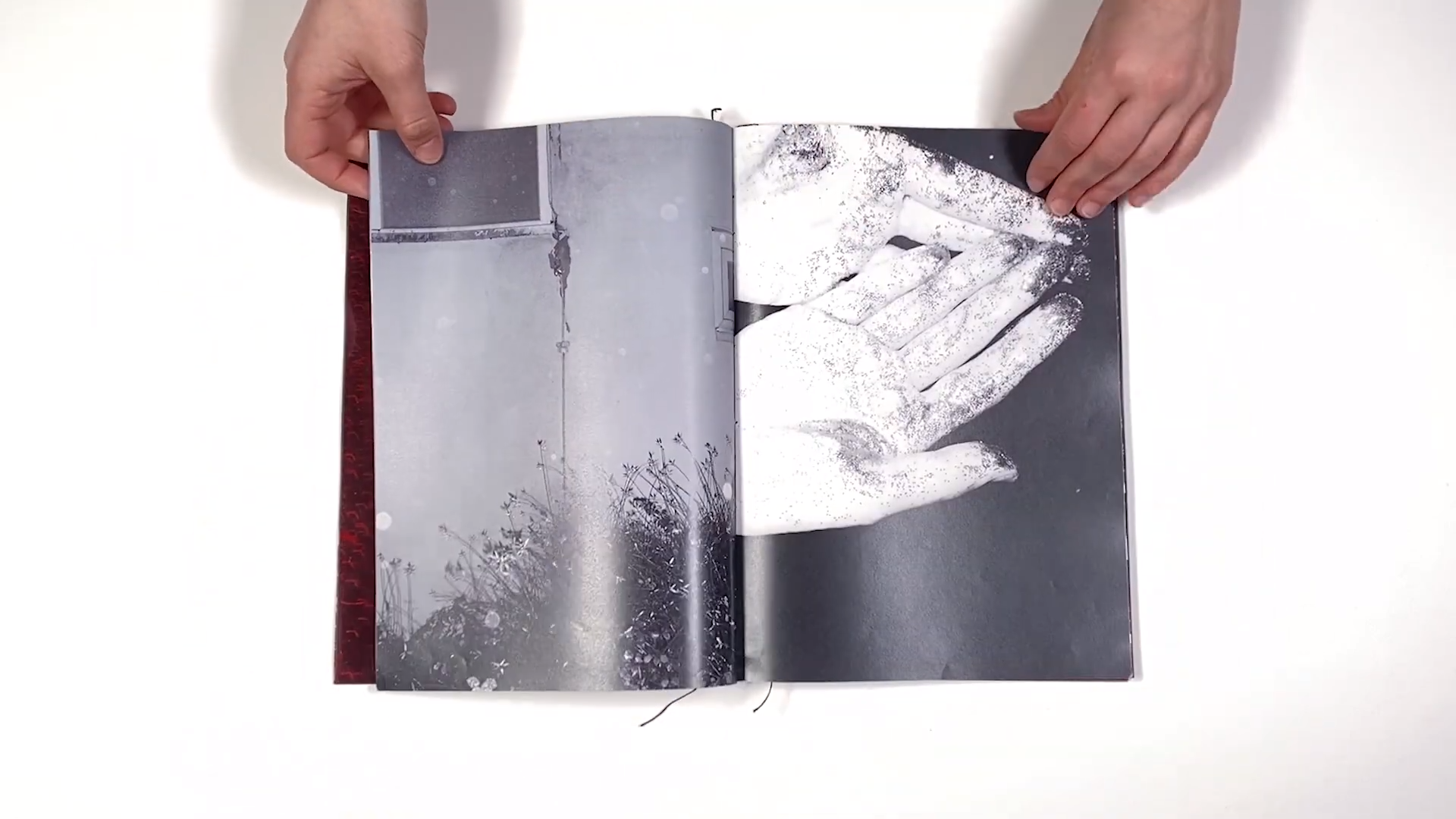 Фотокнига «Solstice» художницы Джулии Боле (Julia Bohle). Private image