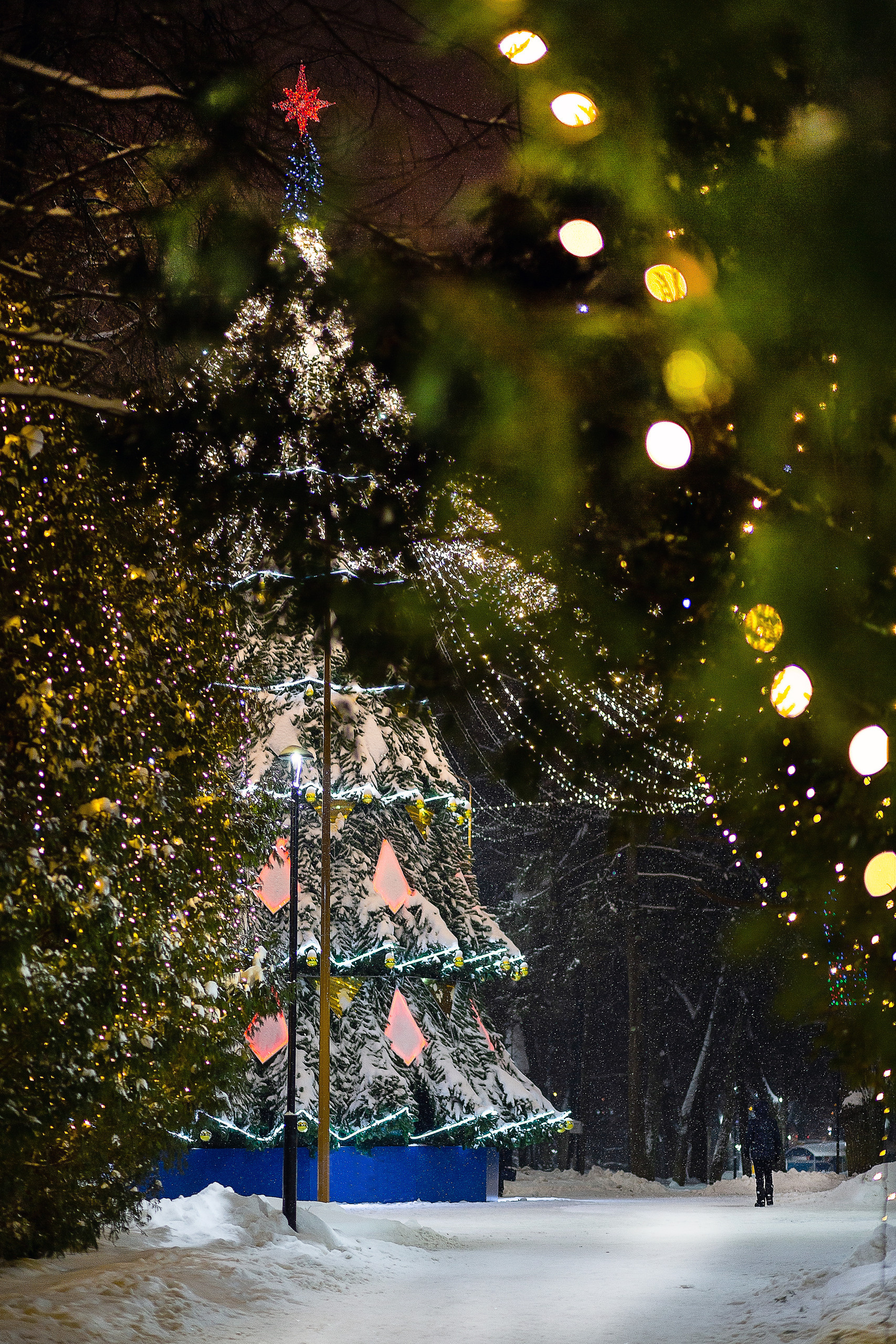 Фотоконкурс «Новогодняя Калуга». Калужский городской фотоконкурс