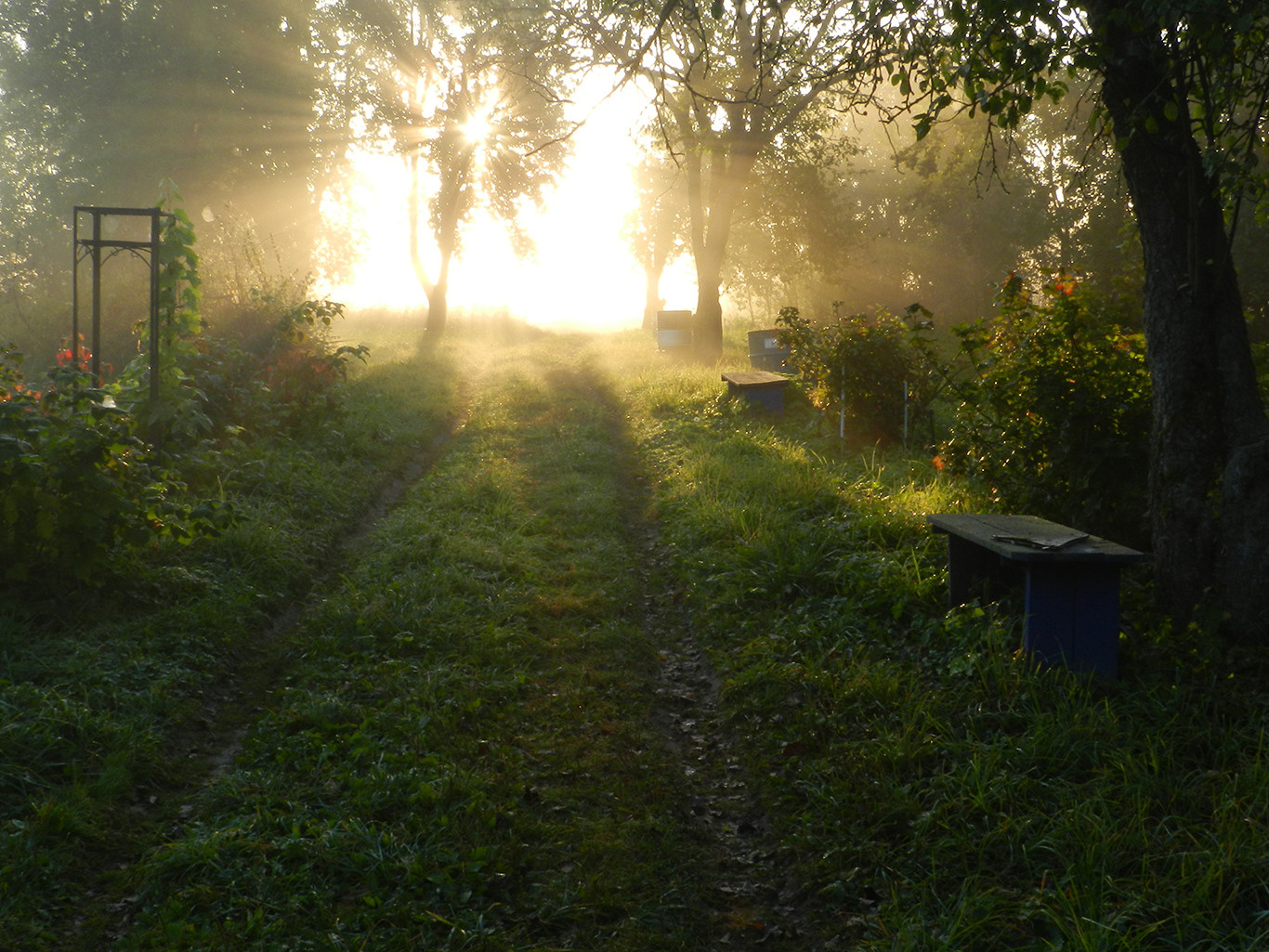 О конкурсе 2021. Калужский городской фотоконкурс