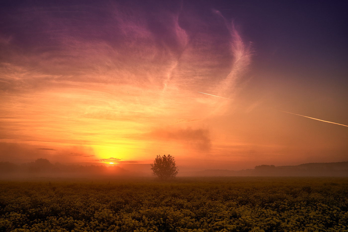 О конкурсе 2021. Калужский городской фотоконкурс