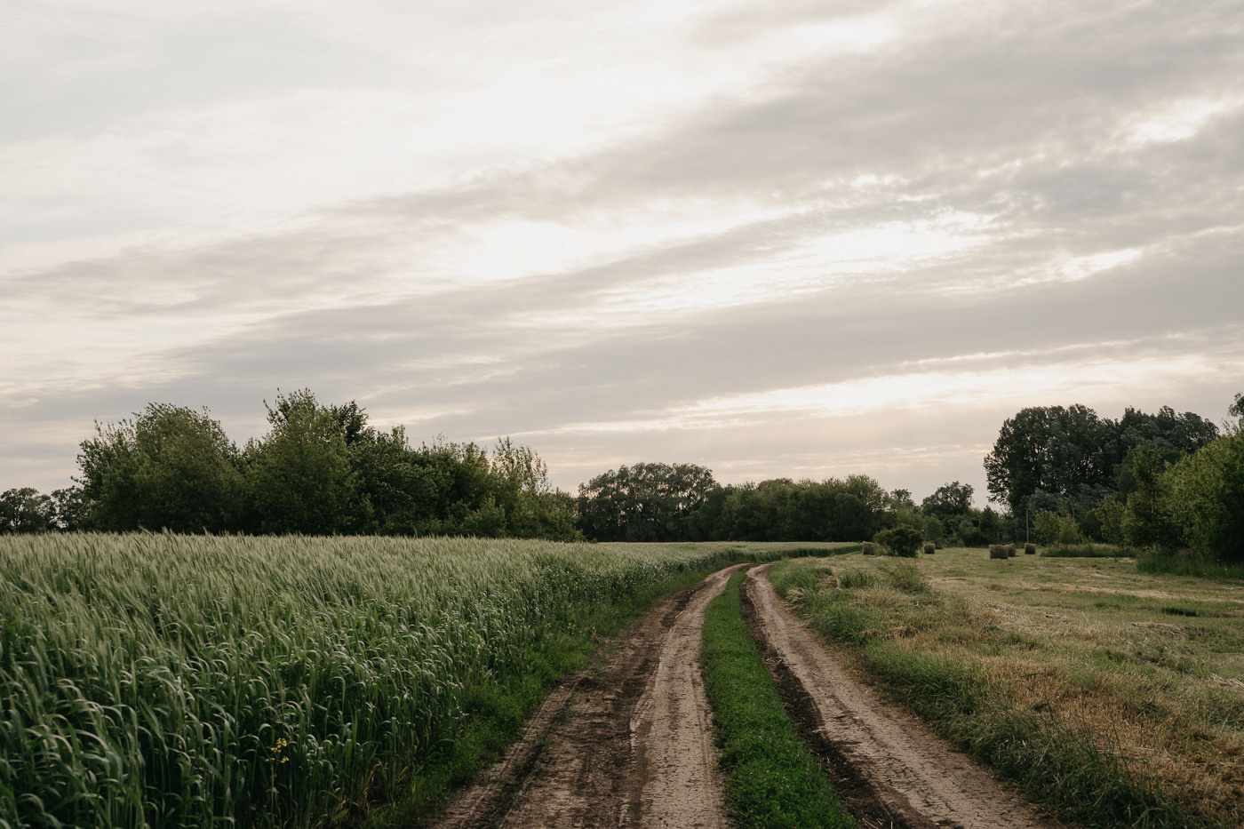 О конкурсе 2021. Калужский городской фотоконкурс