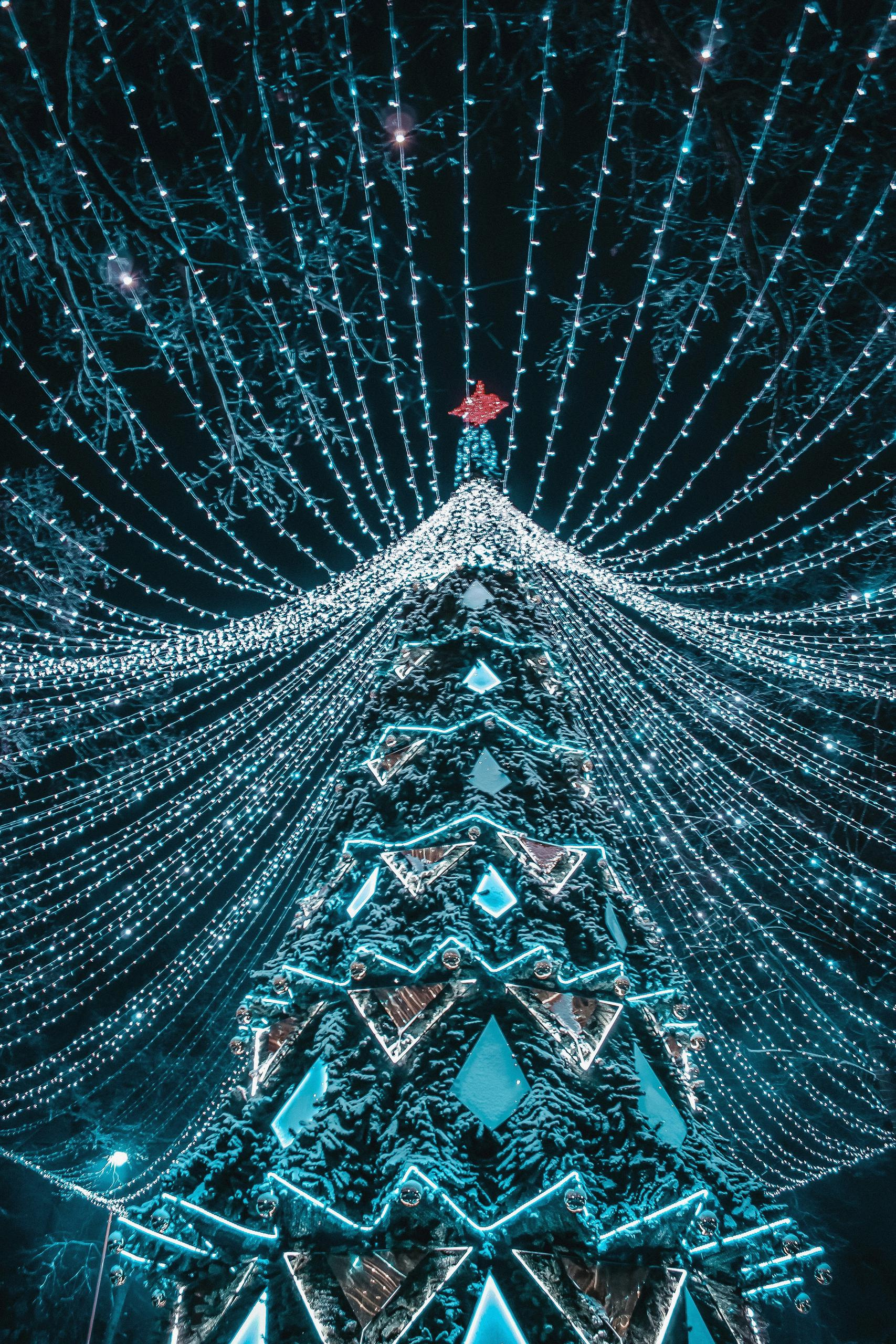 Фотоконкурс «Новогодняя Калуга». Калужский городской фотоконкурс