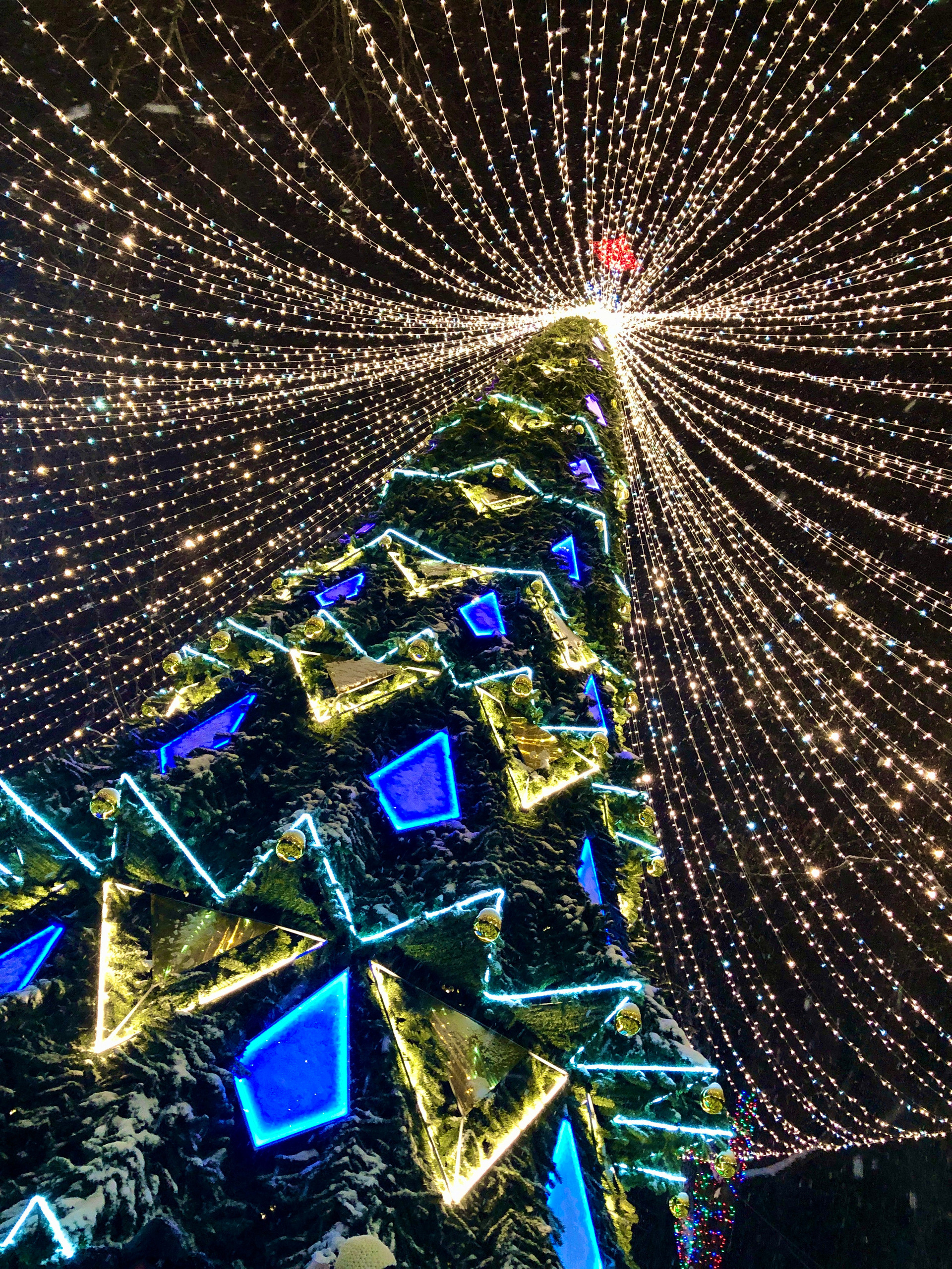 Фотоконкурс «Новогодняя Калуга». Калужский городской фотоконкурс