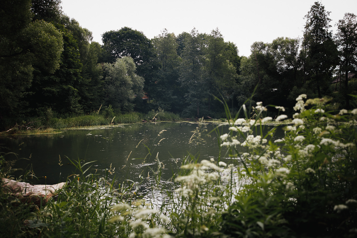О конкурсе 2021. Калужский городской фотоконкурс