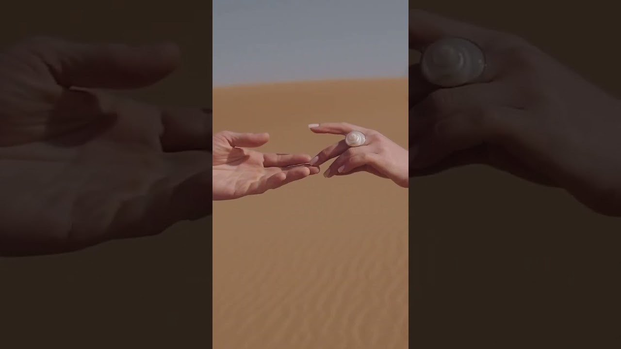 Видео. Фотограф и видеограф на мероприятия