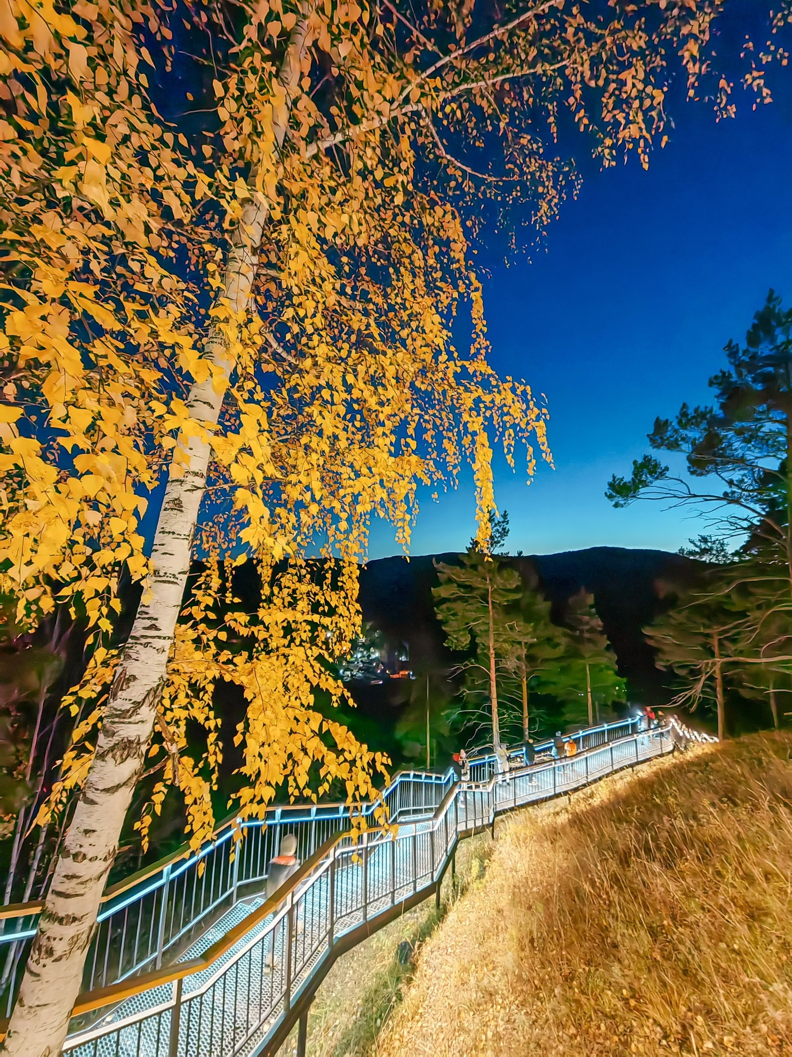 Торгашинская лестница поход трансфер на комфортабельном автобусе экскурсионное обслуживание заказать онлайн расписание цены куда сходить вантовый мост скала Такмак Торгашинский хребет Роев ручей парк флоры и фауны фанпарк Бобровый лог виды на Енисей фотосъемка индивидуальная экскурсия гид экскурсовод Виноградовский мост Караульная гора музей Астафьева село Овсянка набережная Енисея Николаевская сопка Бобровый лог остров Татышев Коммунальный мост Часовня Параскевы Пятницы место силы туристический маршрут путешествие Красноярская ГЭС Дивногорск заповедник Столбы Национальный парк красивые места видовые смотровые площадки маршрут программа заказать экскурсию цена трансфер аренда микроавтобуса аренда кабриолета фотосессия фототур достопримечательности Красноярска что посетить куда сходить что посмотреть интересные места фото экскурсии Красноярск индивидуальный тур