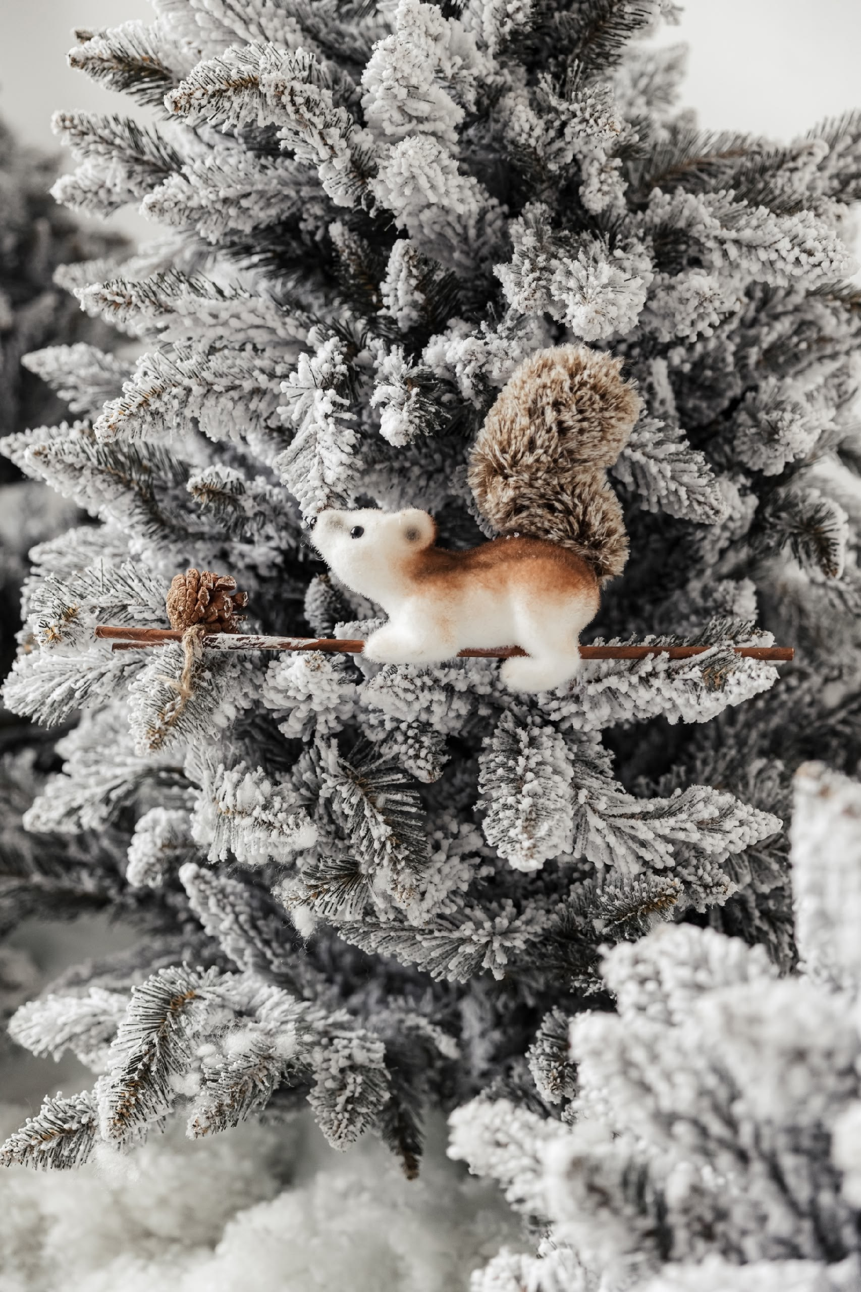 Список фотостудий. Свадебный и портретный фотограф Roxana Imp Тверь Москва