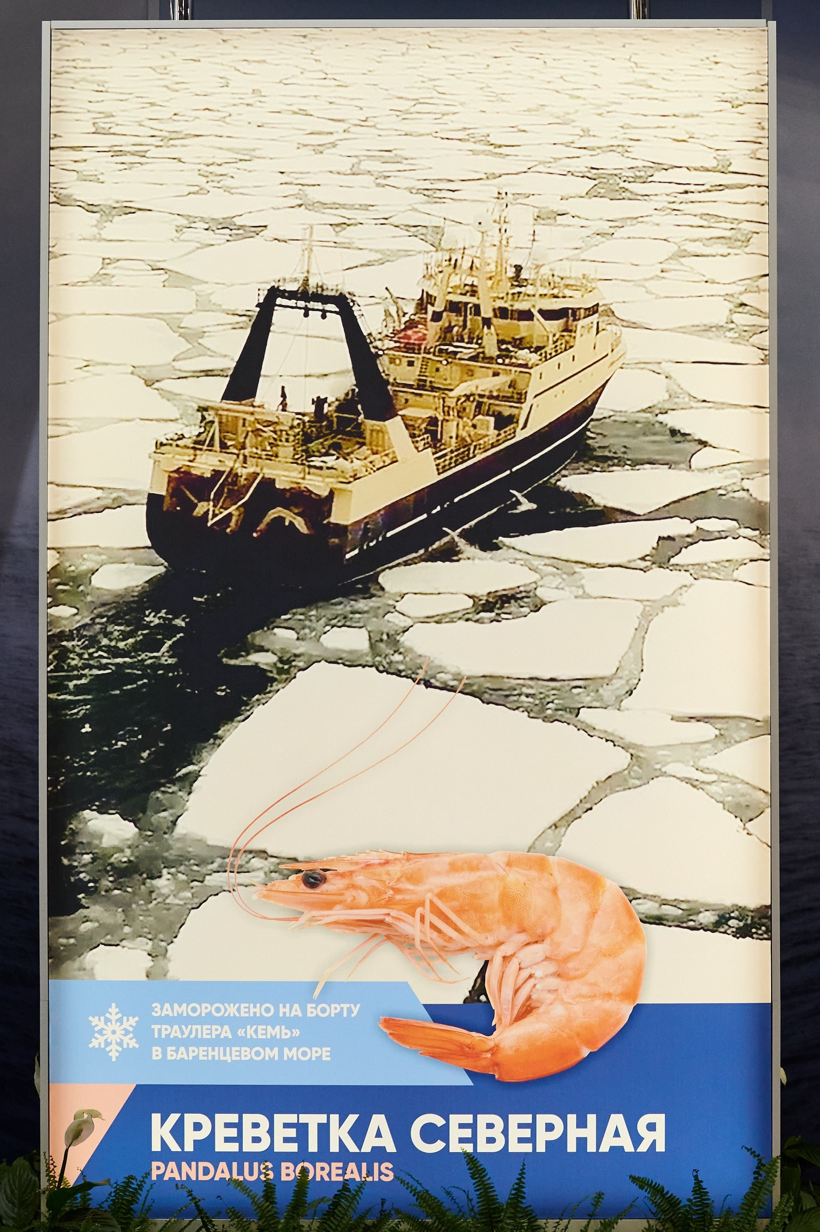 Баннер «Северная креветка» на Seafood Expo Russia 2025: изображение корабля среди льдин в море. Репортажная съёмка, Экспофорум, Санкт‑Петербург.