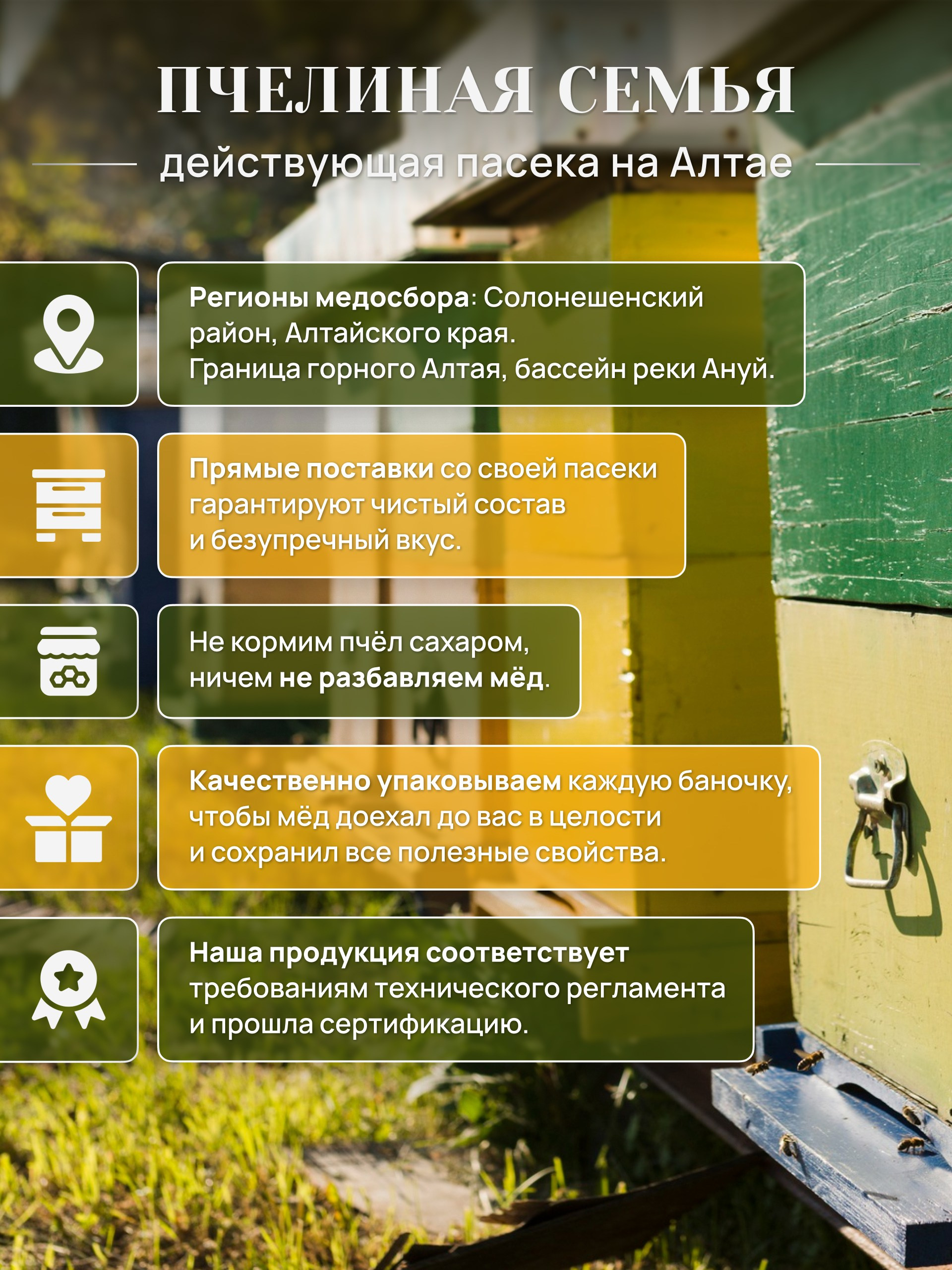 Инфографика для маркетплейсов: алтайский мёд. Маркетолог в Москве, специалист по коммуникациям и рекламе Аня Смоляга
