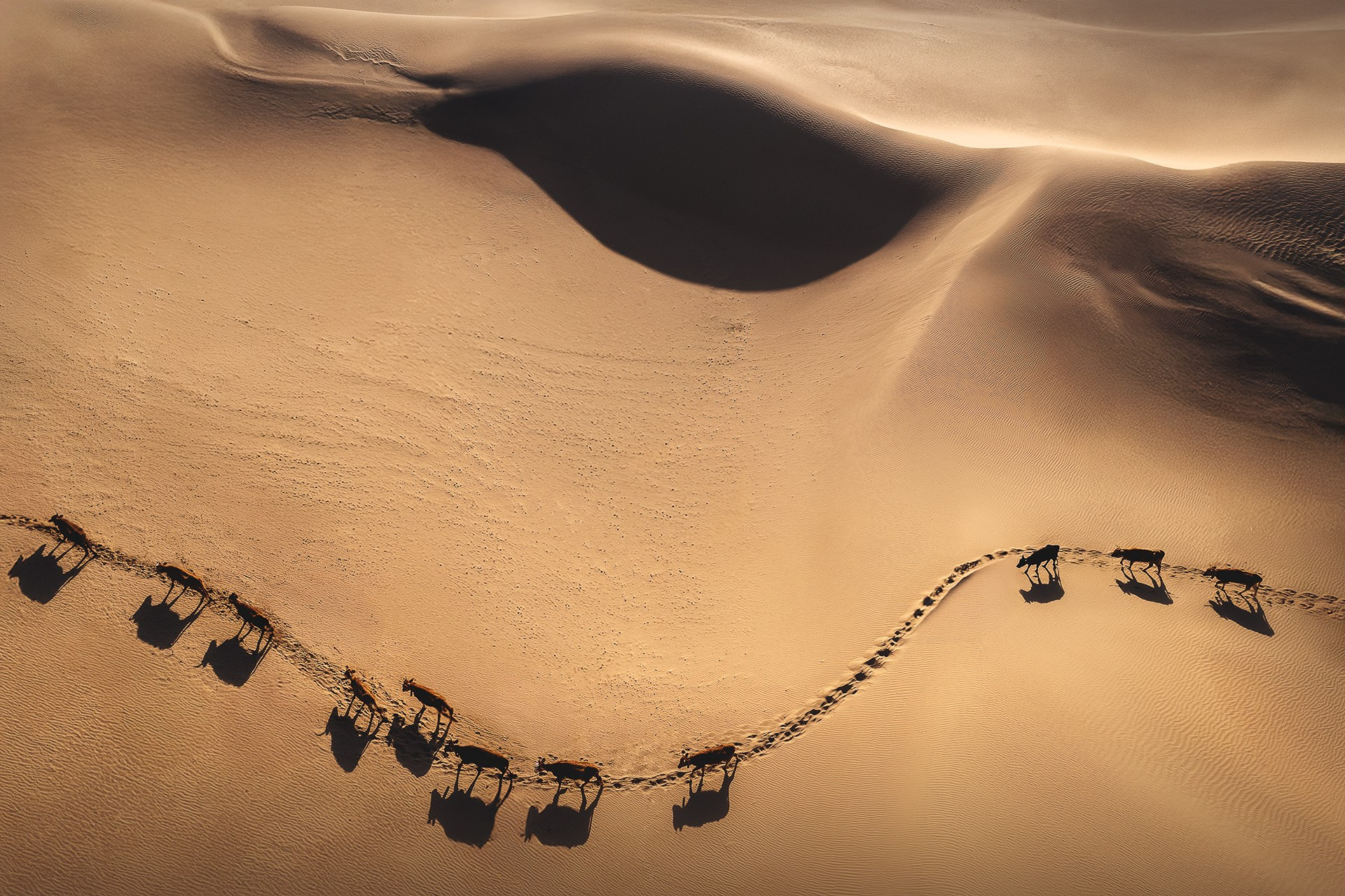 Армения. Осенние краски древней земли 24.10.26 — 01.11.26. Дмитрий Купрацевич профессиональный пейзажный и travel-фотограф