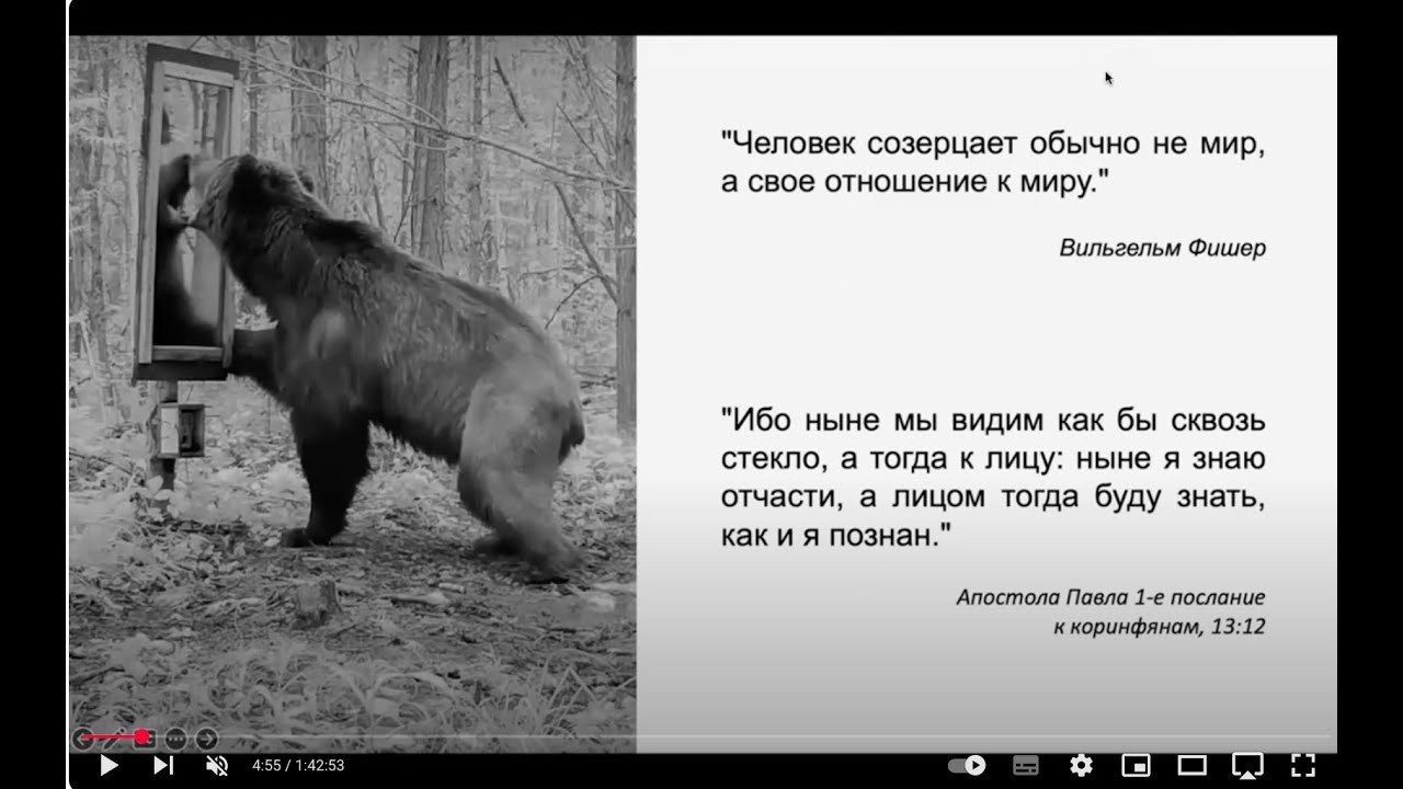 Курс Олега Колимбета: Сторителлинг и создание визуальных нарративов. Самоорганизация Низина