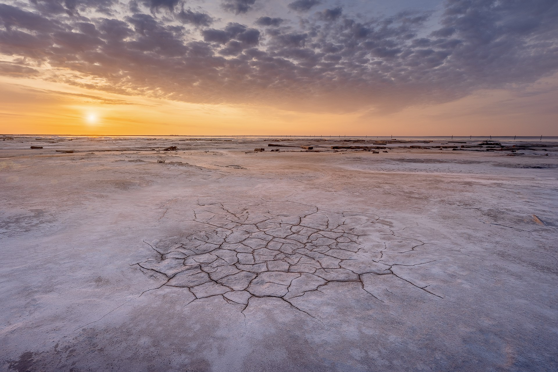 Волгоградская и астраханская области Весна 2026 | Фотограф Дмитрий Купрацевич. Дмитрий Купрацевич профессиональный пейзажный и travel-фотограф