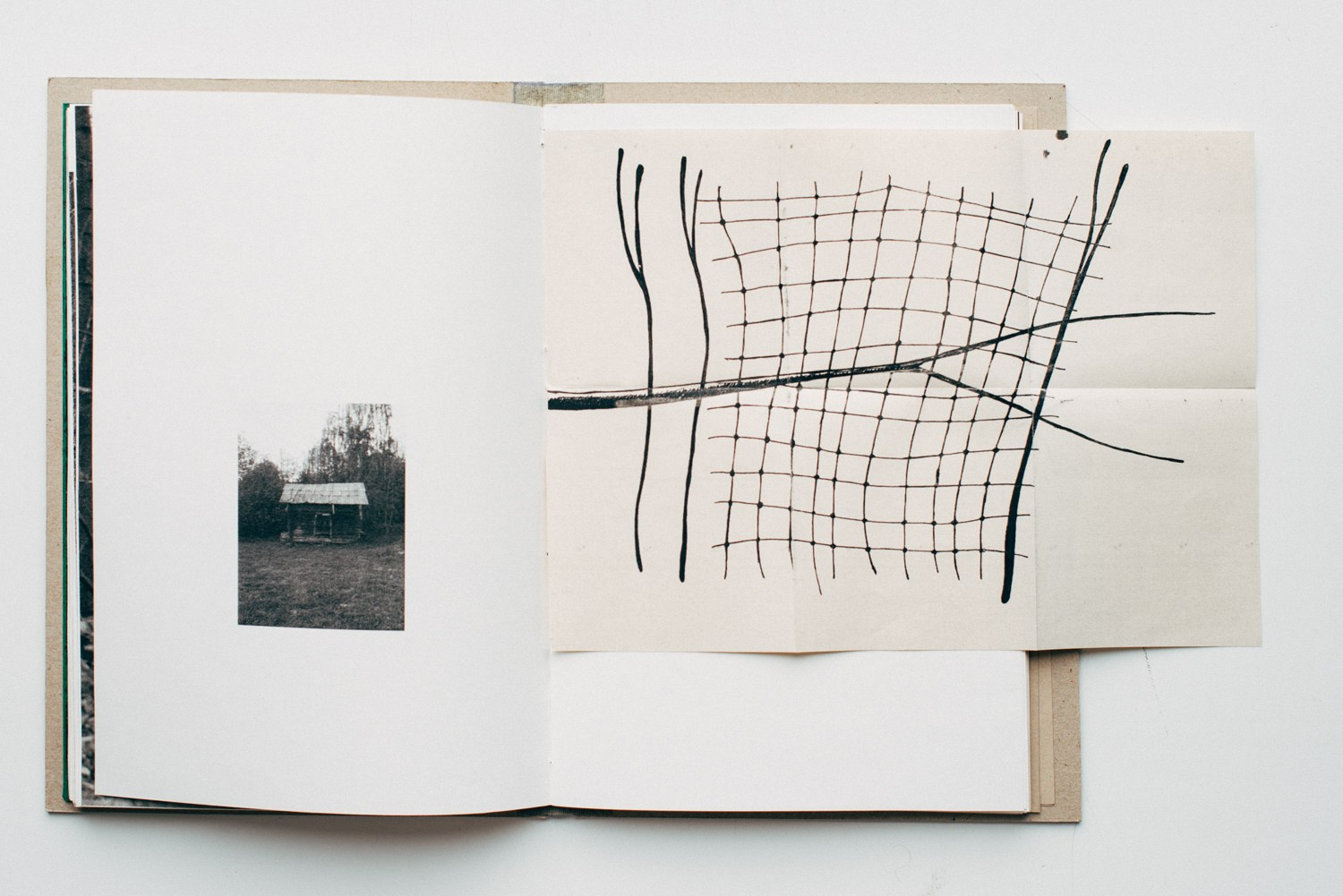 About forest, traps and sorrow. Main