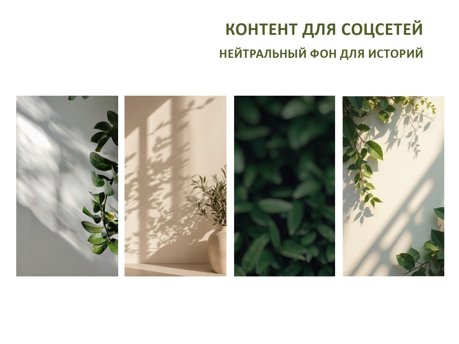 Упаковка профиля. Наталья Агапова | Фототерапия, Москва