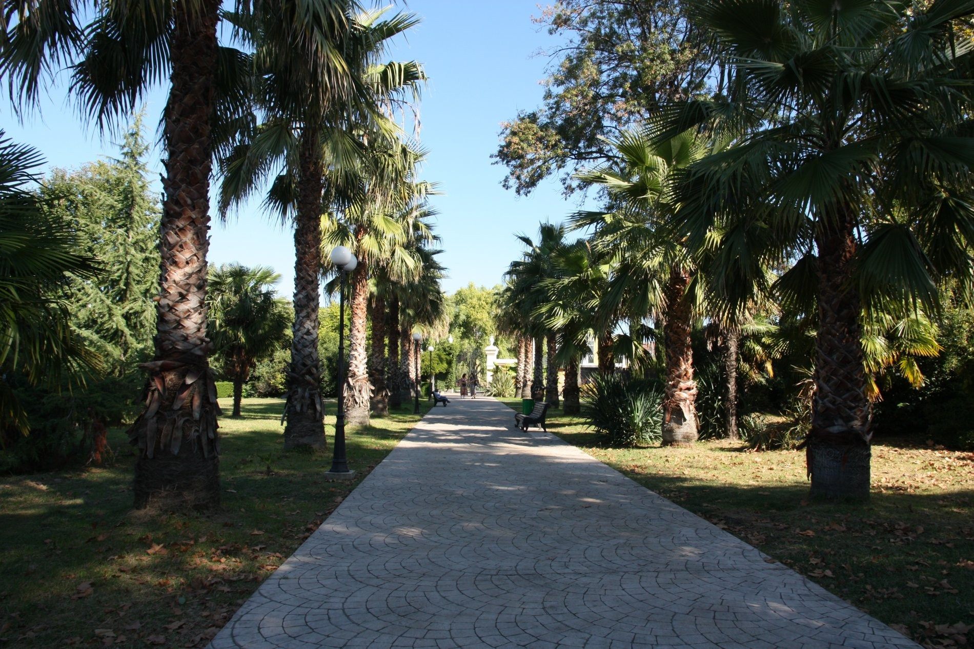 АДЛЕР. Свадебный и семейный фотограф/видеограф в Краснодаре Наталья Осинская