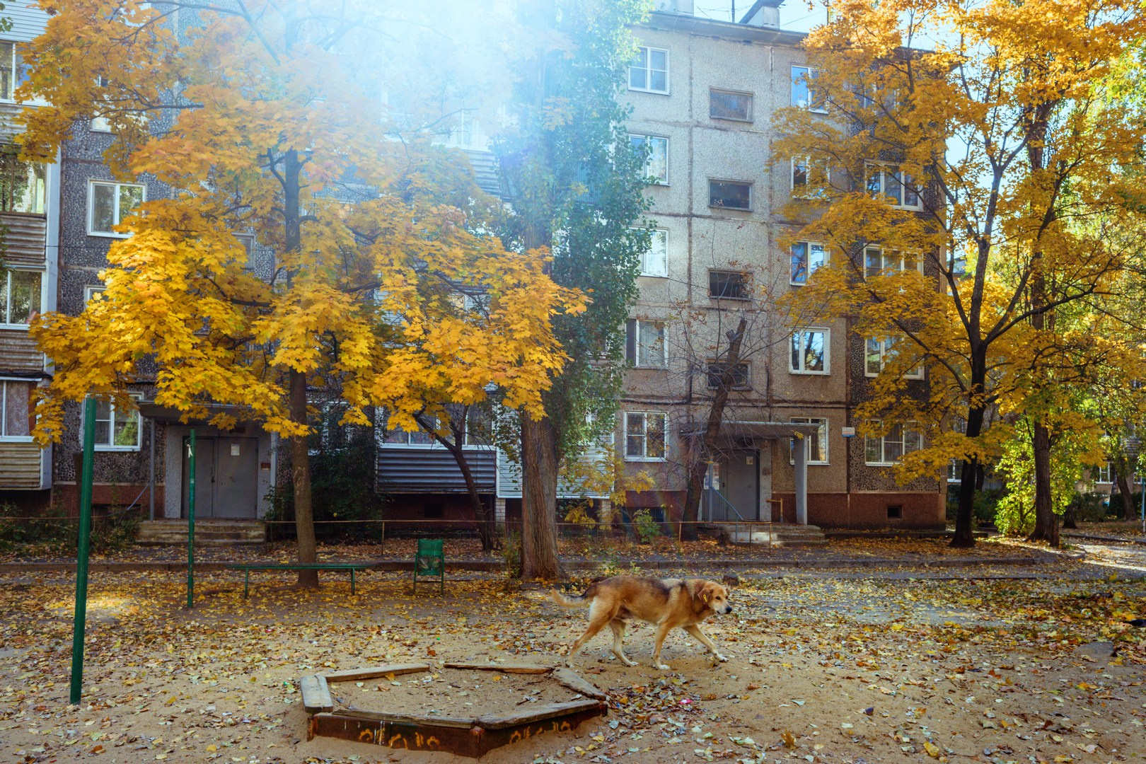Руслан Шувалов (поэтограф)