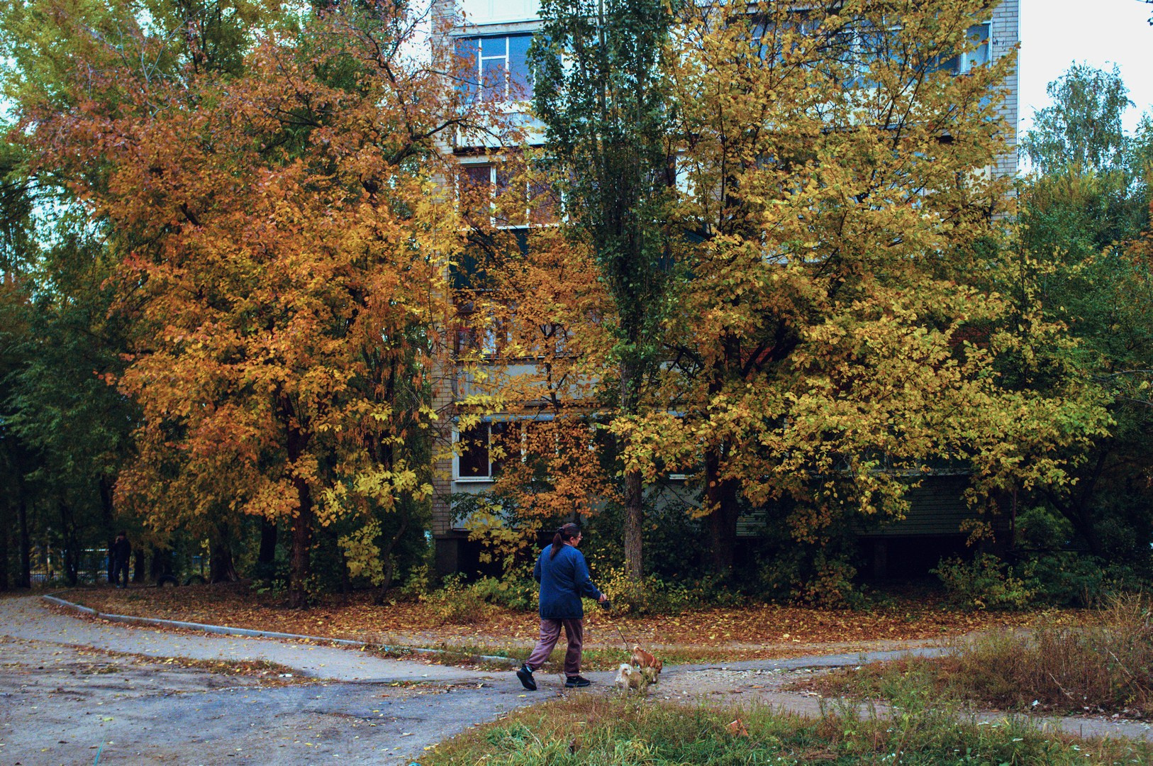 Ruslan Shuvalov (poetographer)