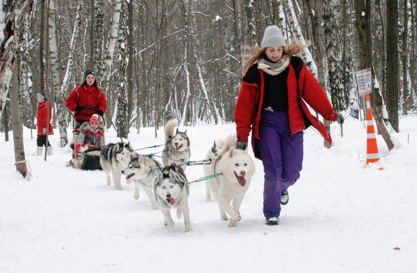 ПРАЙС НА ФОТОРЕПОРТАЖ ТУРЫ ВЫХОДНОГО ДНЯ